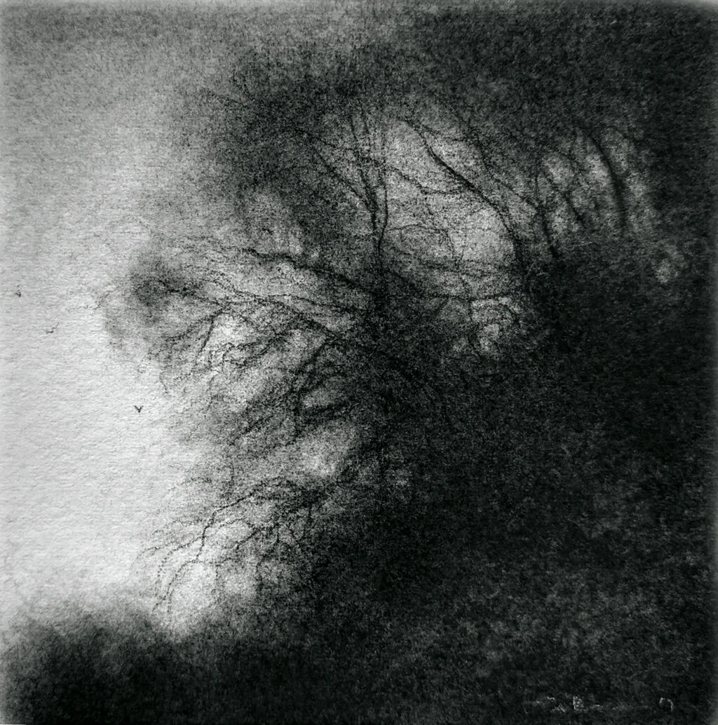 "Edgeland XLV" - Sue Bryan