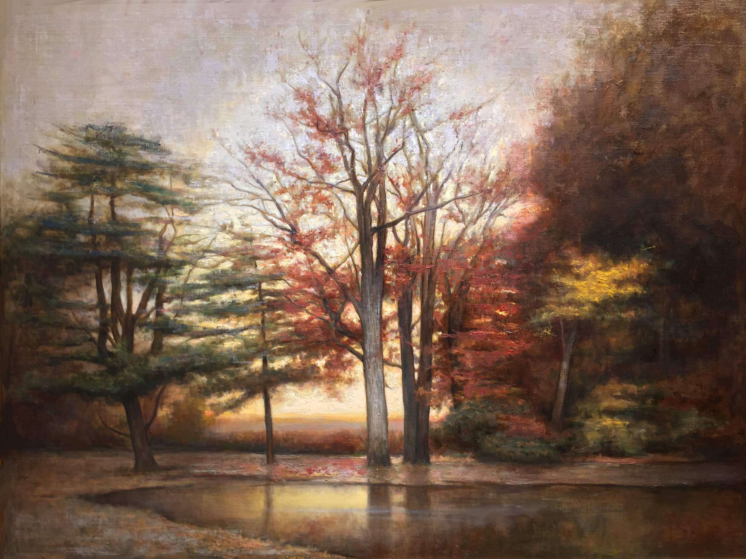 "Bailey's Arboretum" - Steve Forster