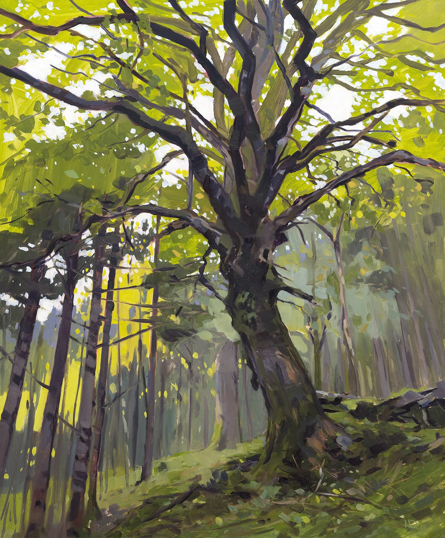"Great Oak, Autumn" - Nicholas O’Leary