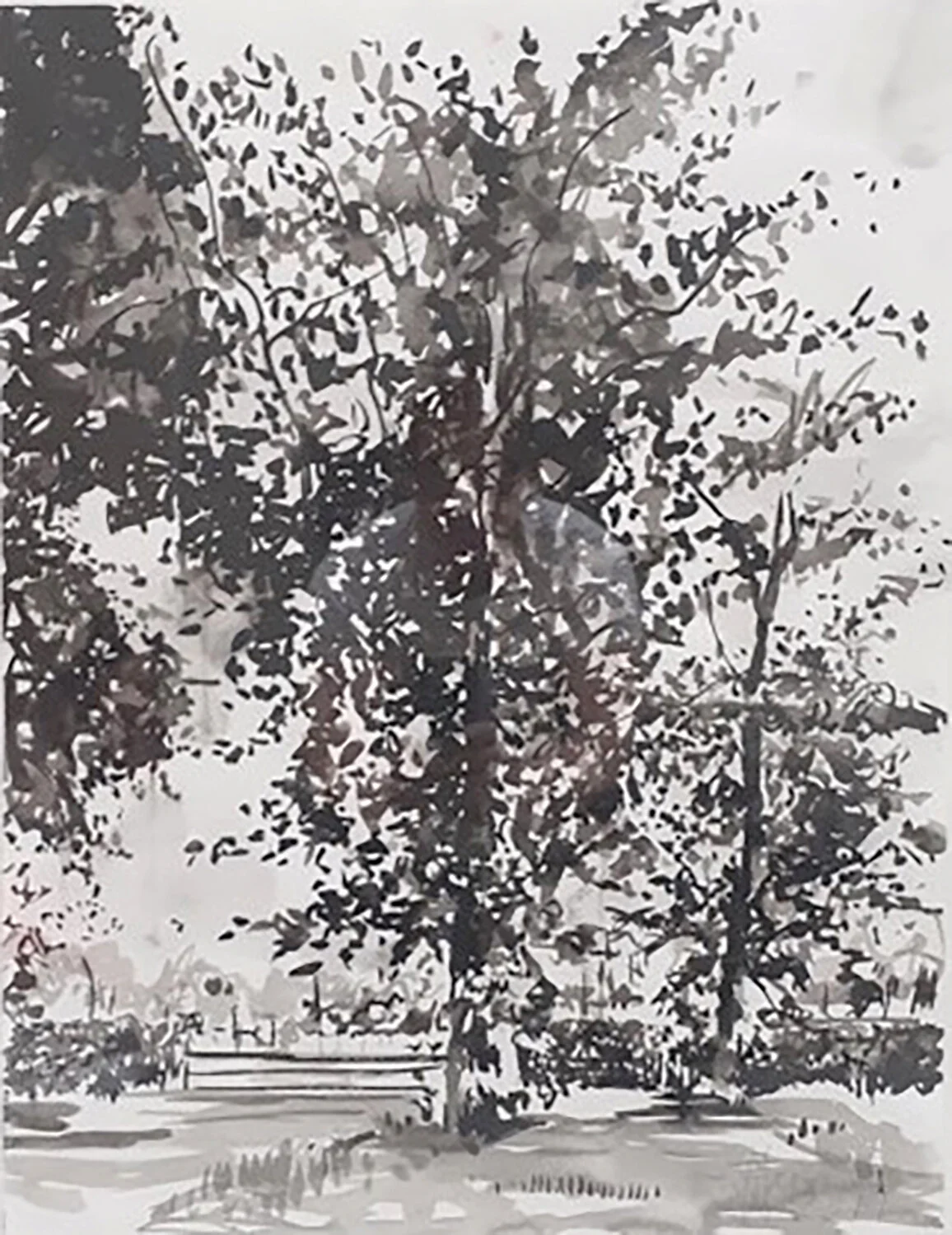 JHR001_Young Tree in Holland_2019_25x19_2200 copy 2.jpg