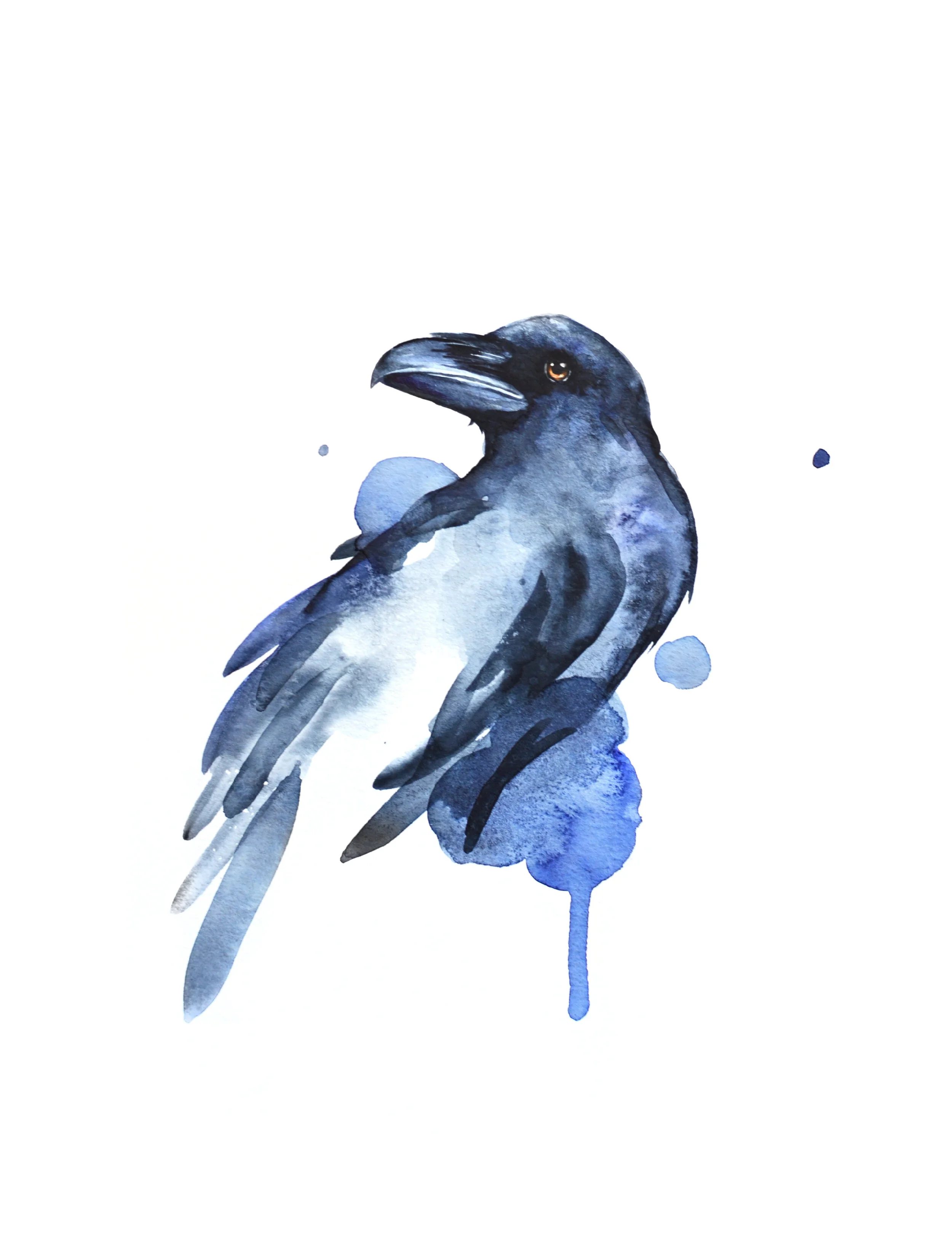 Kiley Friese "Raven", 8 x 10" watercolor on paper, $325