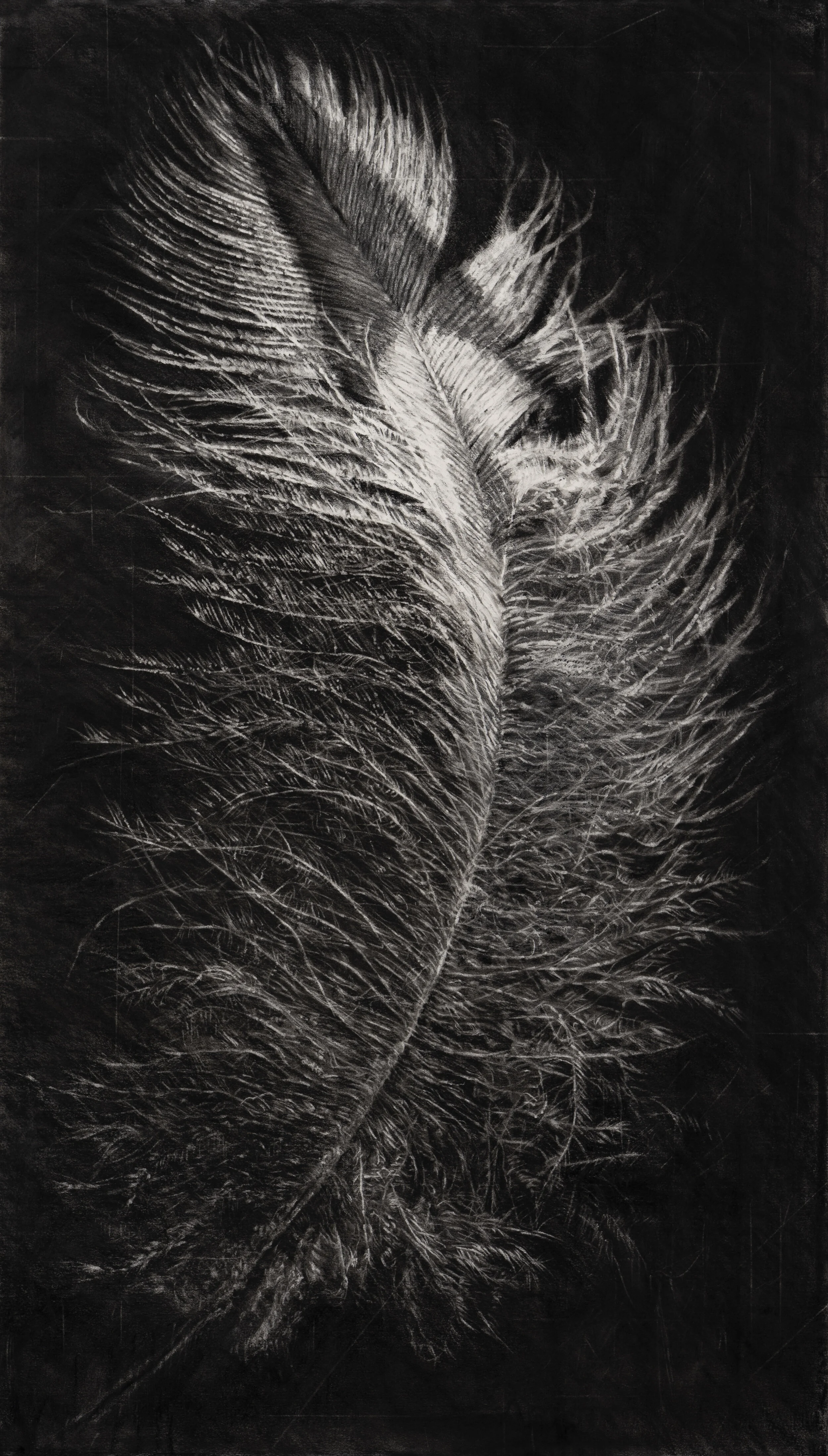 Tyler Vouros "Strix Varia Feather", charcoal and water on paper mounted to canvas, $3,500