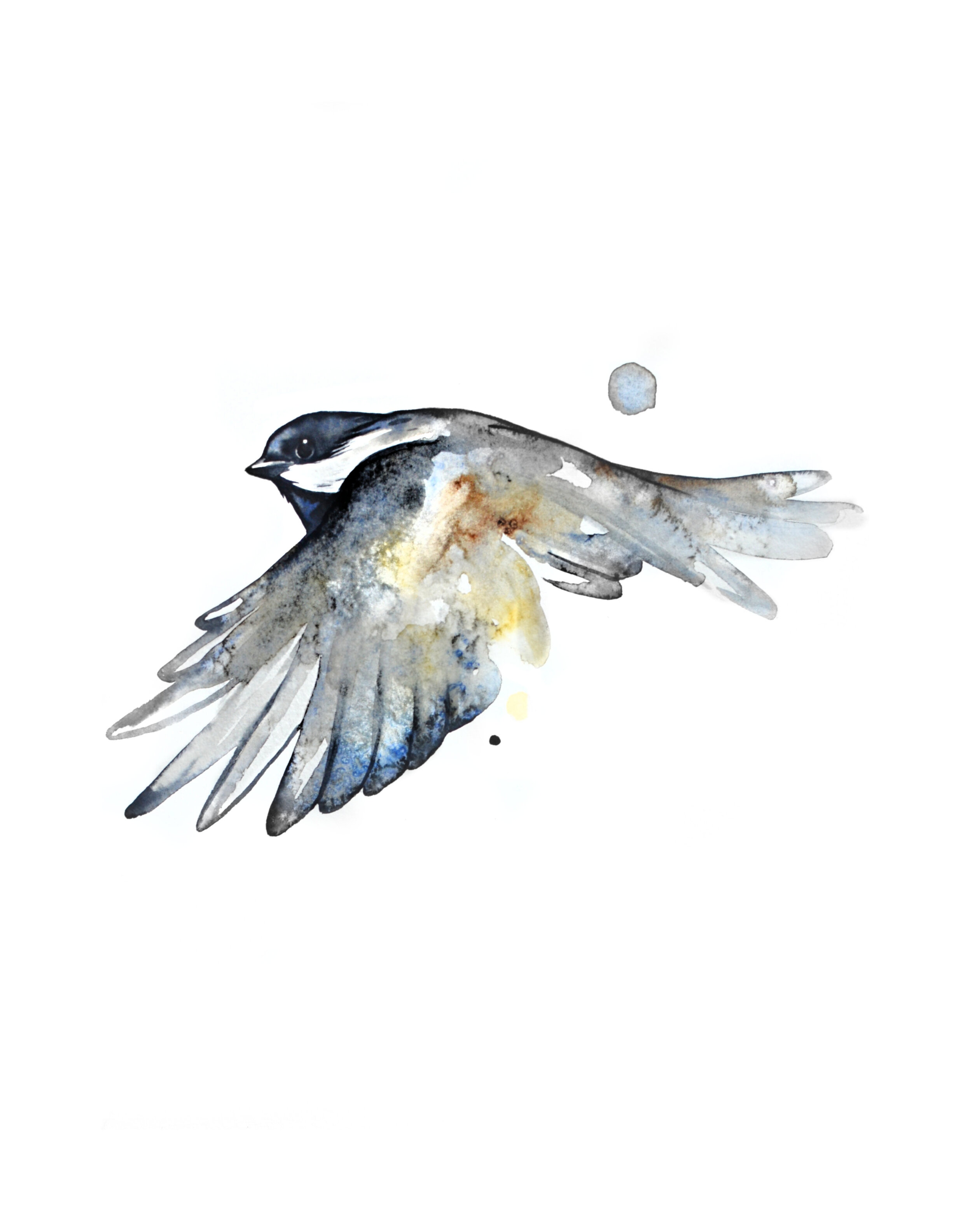 Kiley Friese "Chickadee", 8 x 10" watercolor on paper, $325