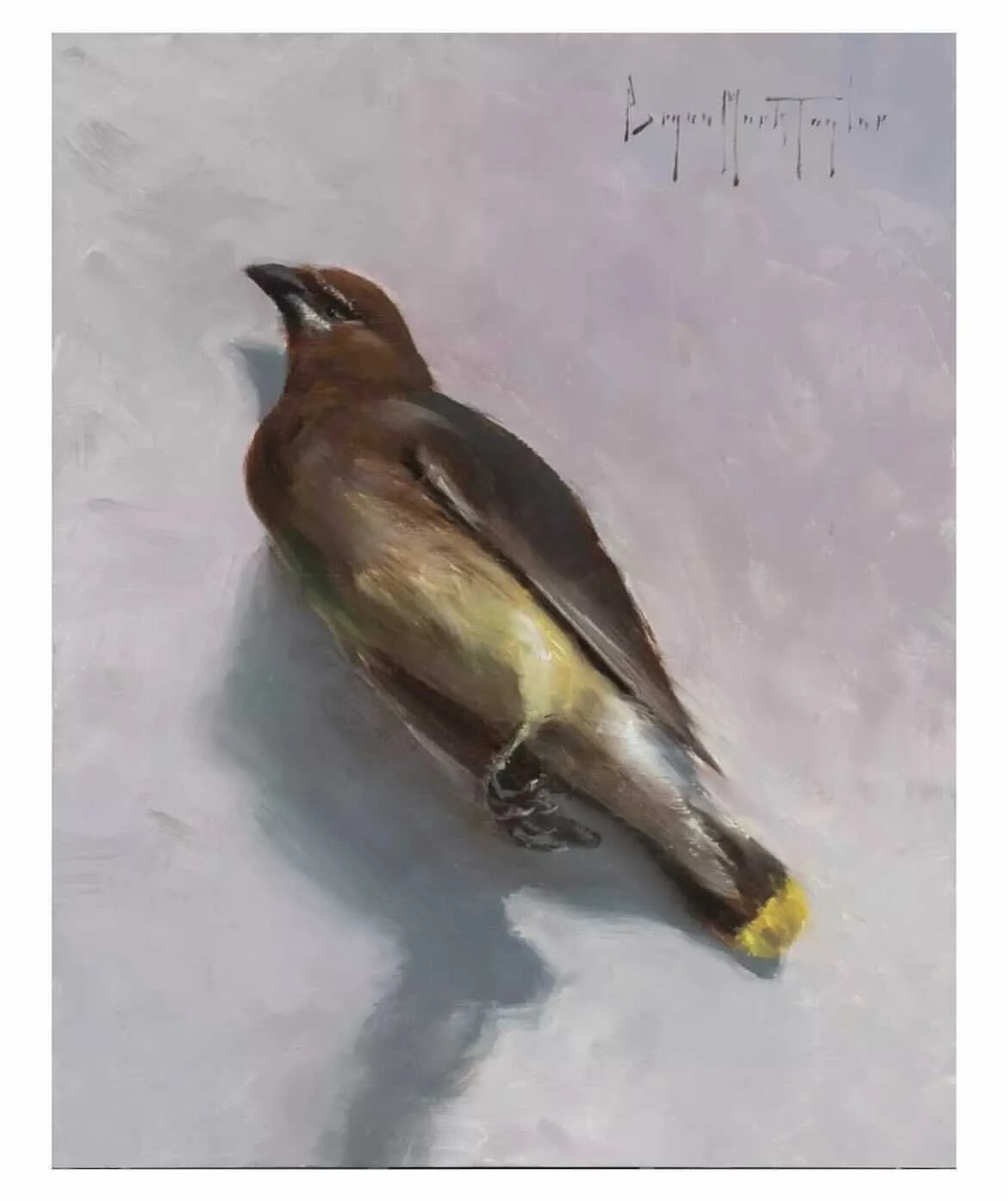Bryan Mark Taylor, 10 x 8", $700