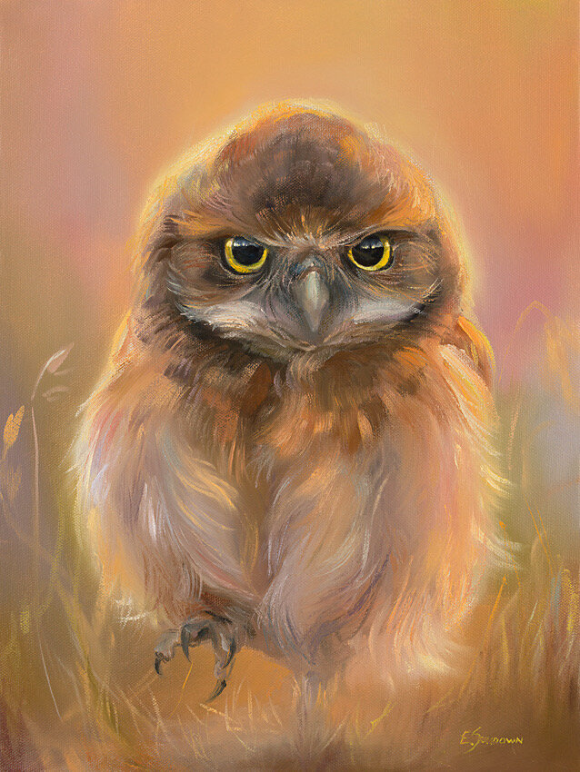 Eve Sundown "I'm coming for you", 12 x 16", oil on canvas, £448