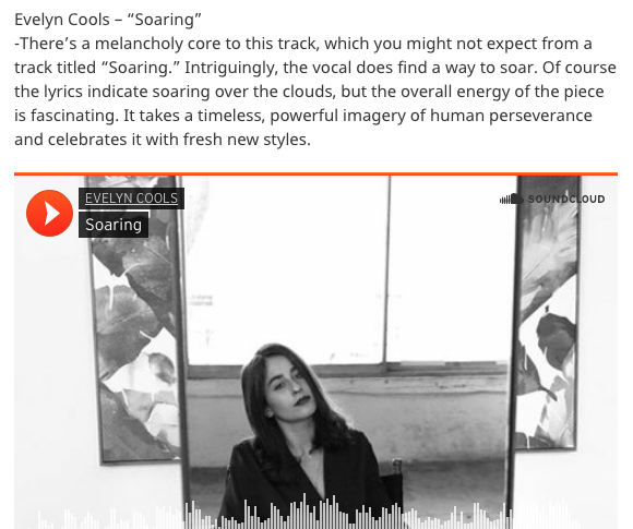 “[Soaring] takes a timeless, powerful imagery of human perseverance and celebrates it with fresh new styles.”EarToTheGround