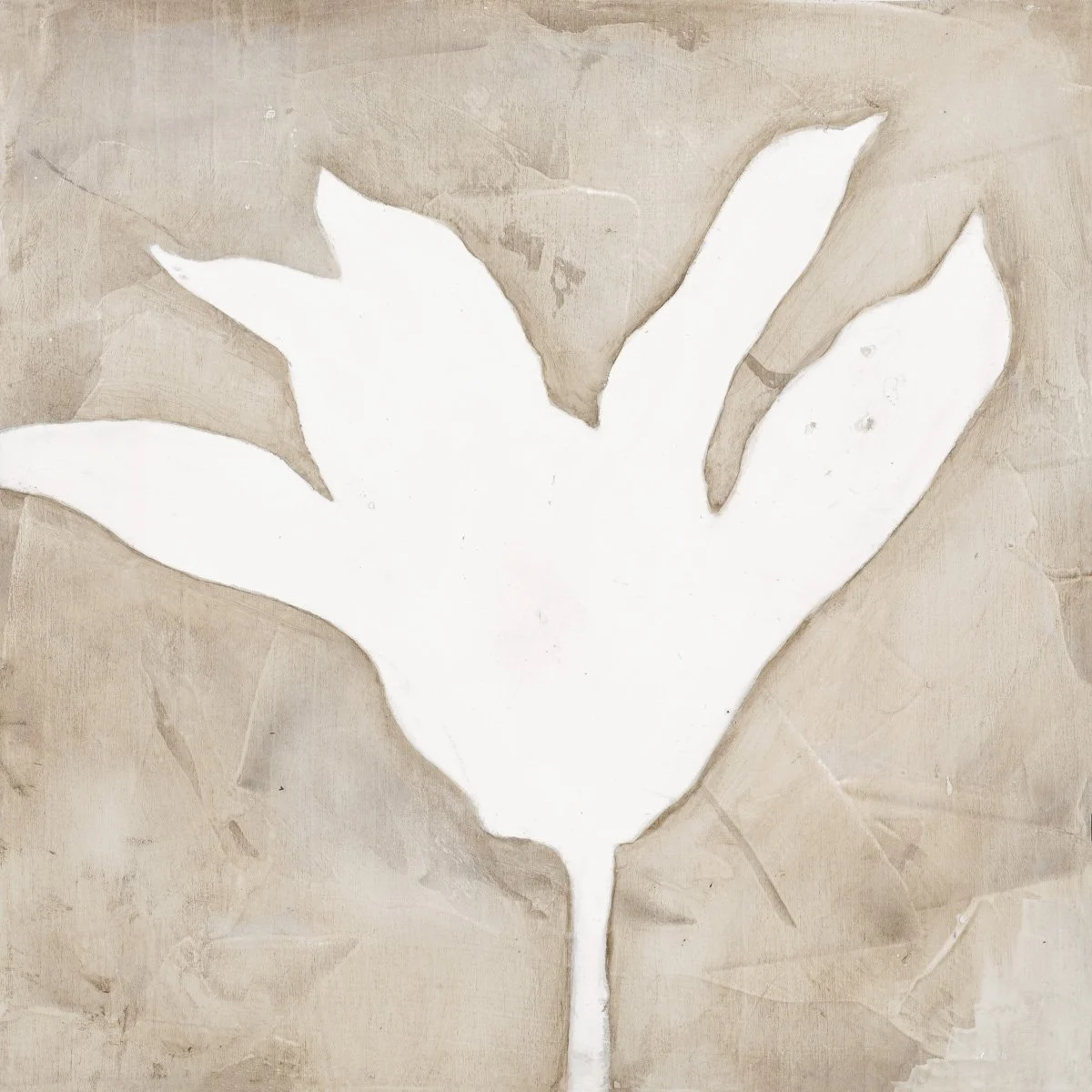 White Flowers 1, 8x8x1 1/2. Acrylic on Wood Panel in Maple Float Frame. Available at Fogue Studios and Gallery