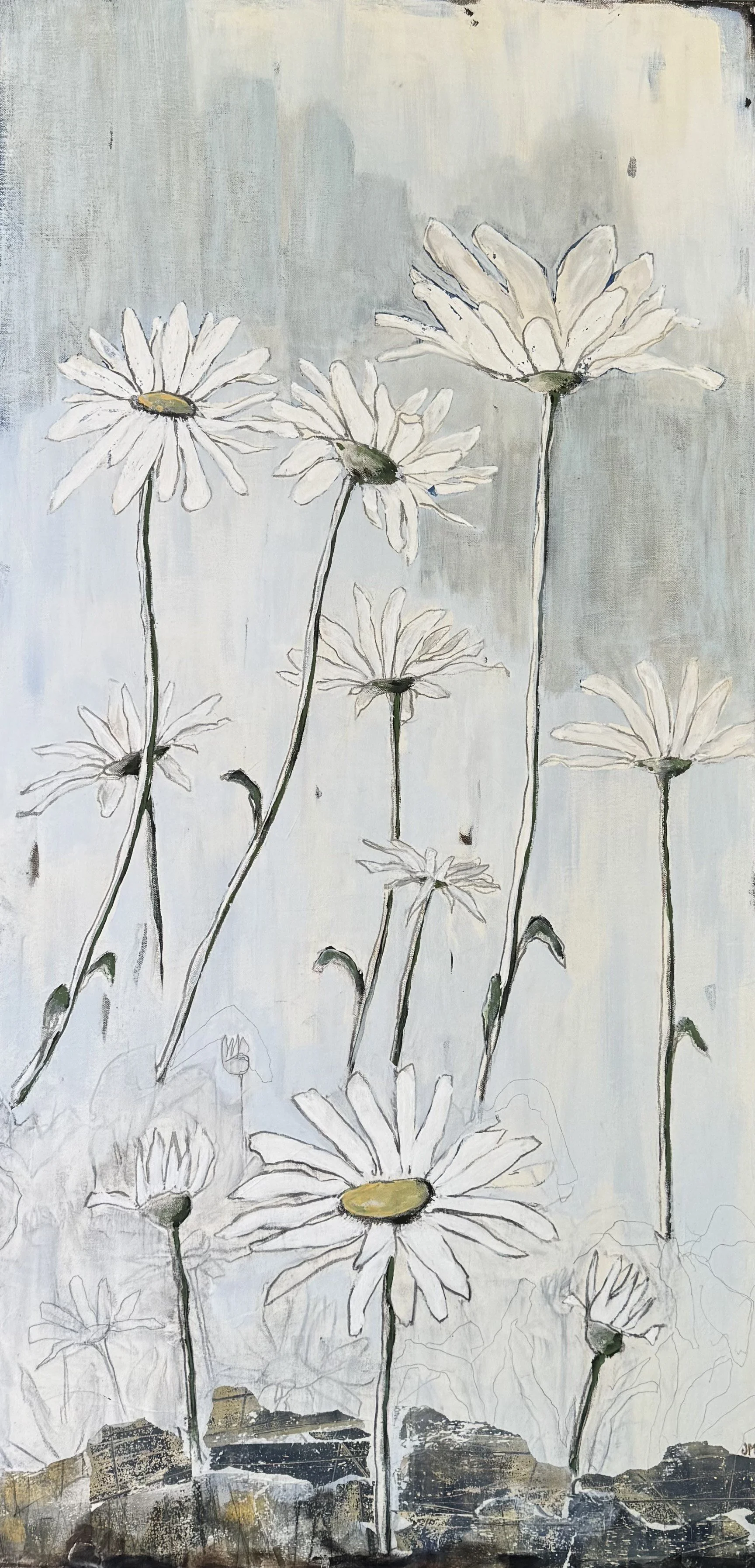 Daisies