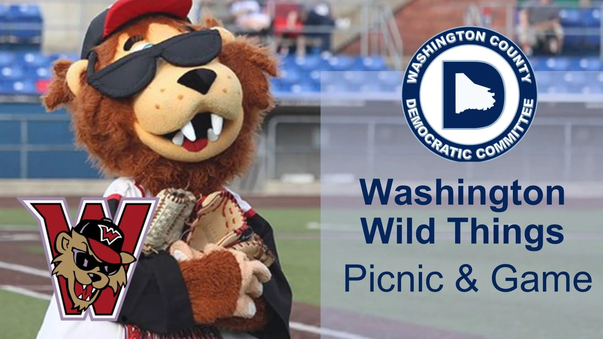 WCDC at the Wild Things Game