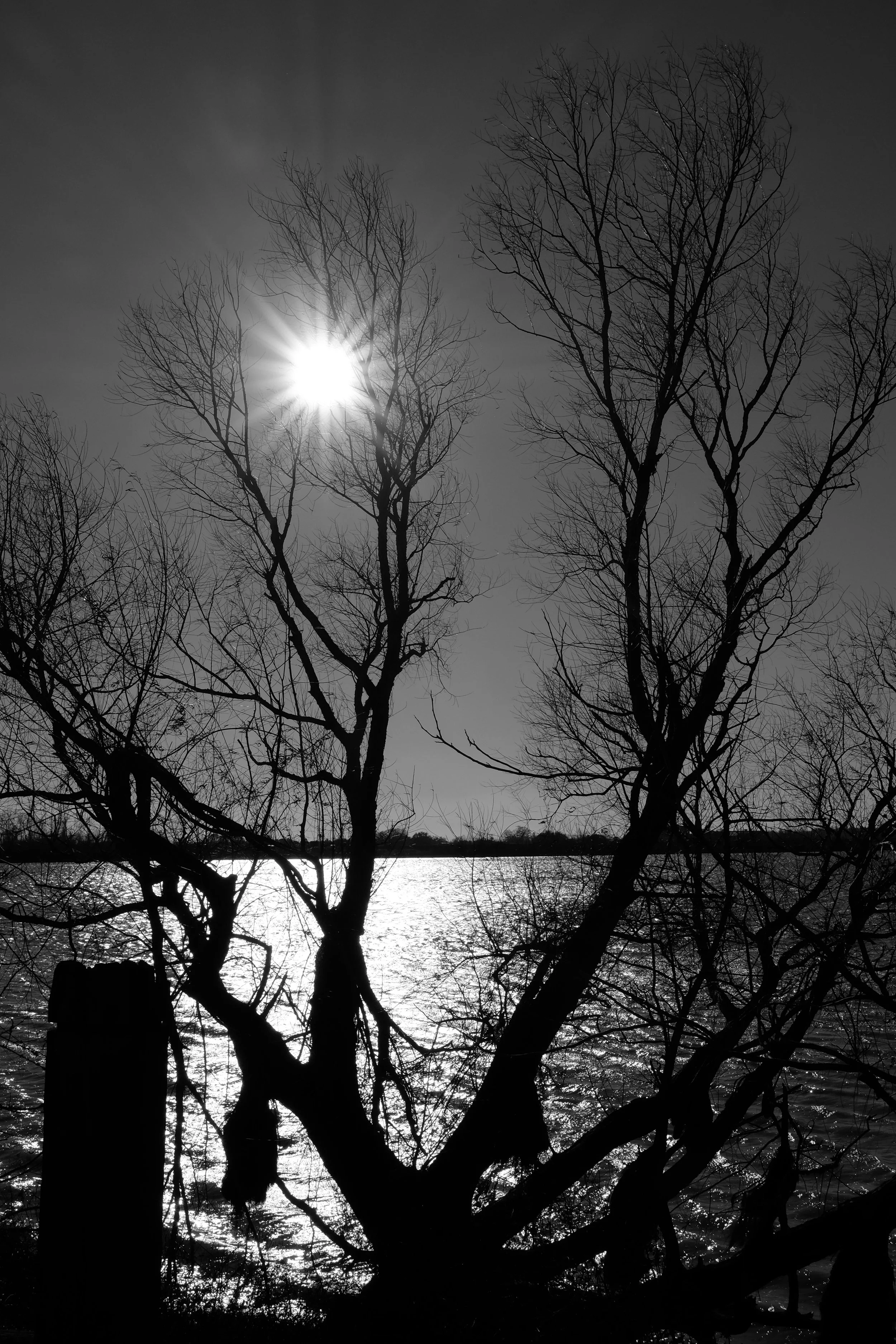 DSCF7622.jpg