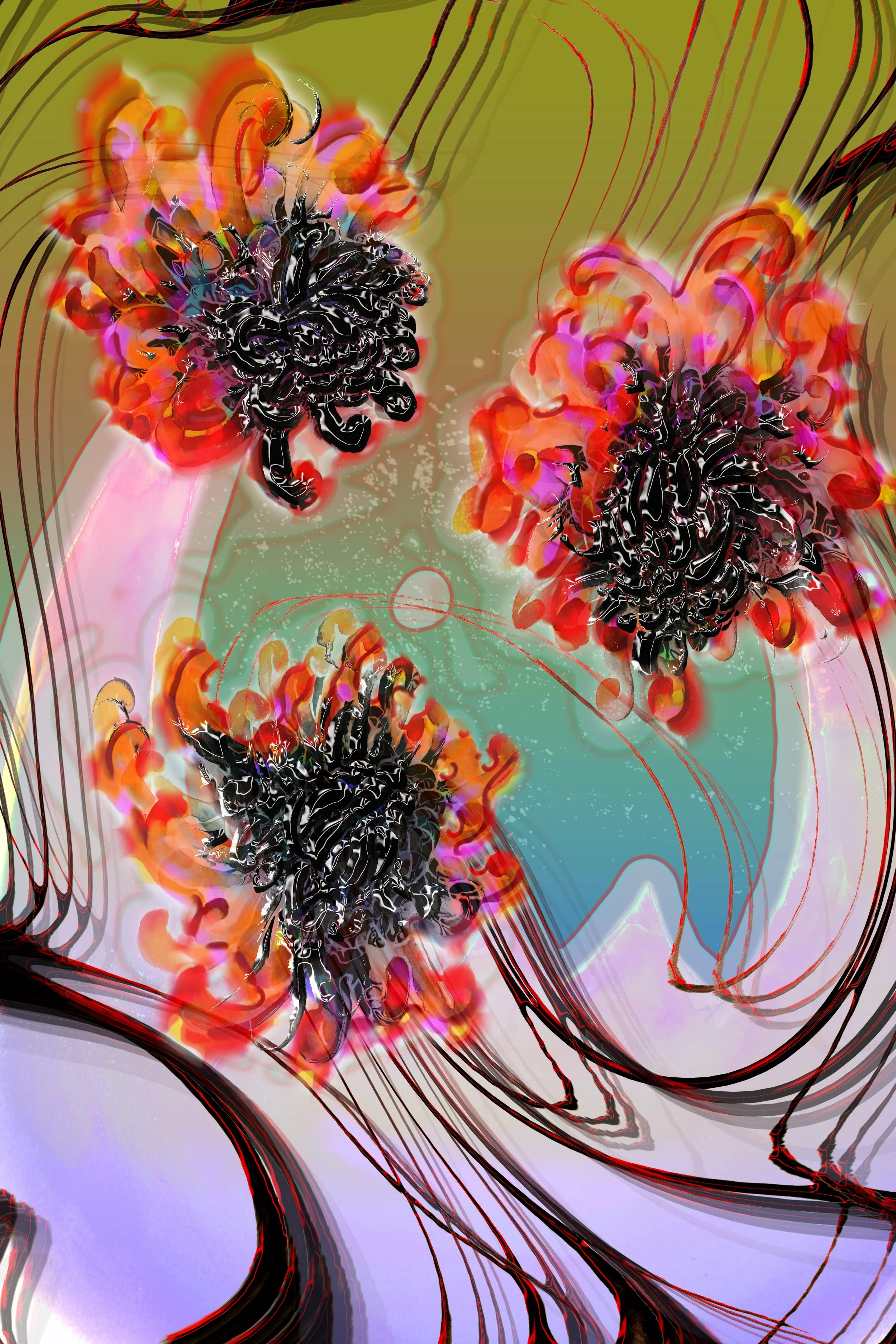 crysanthemums 1.jpg
