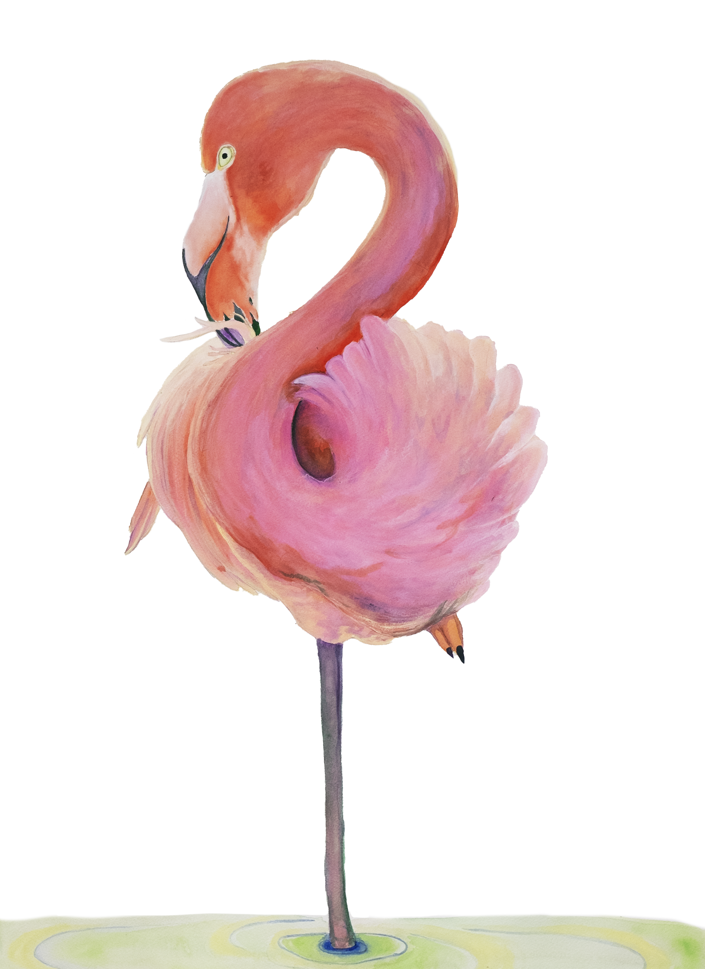 Flamingo copy.png