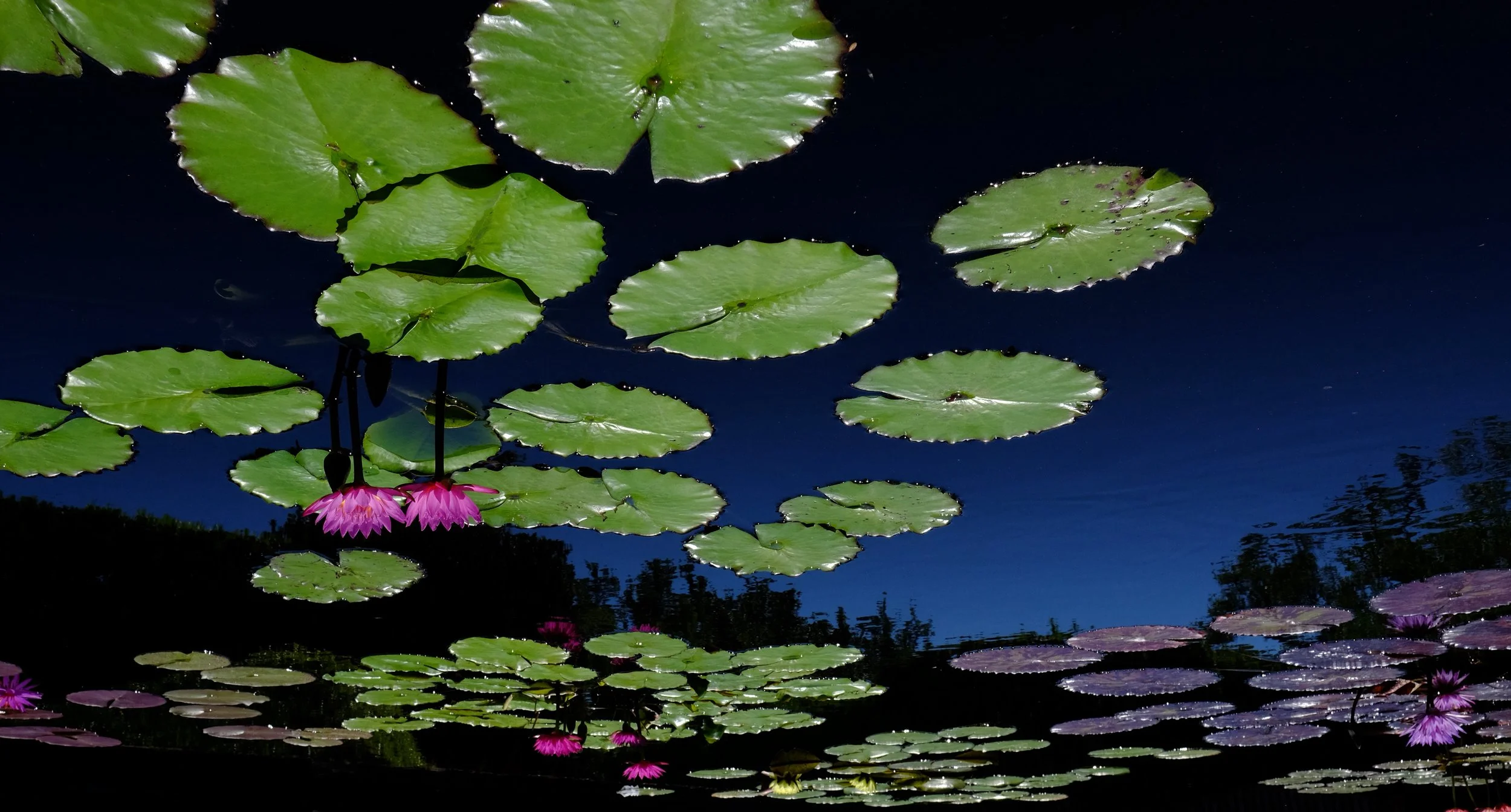 DSCF8228.JPG