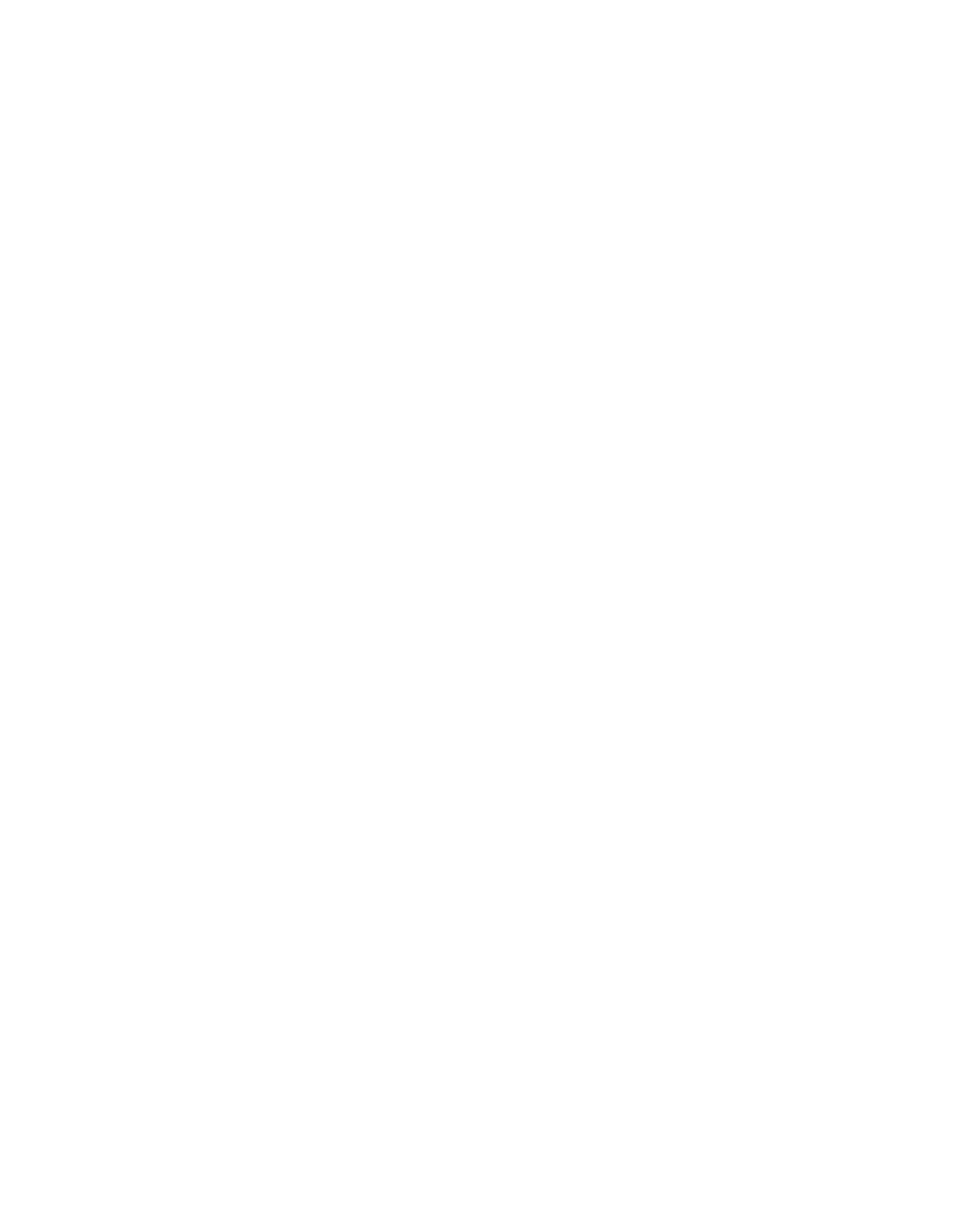 NG logo light white.png