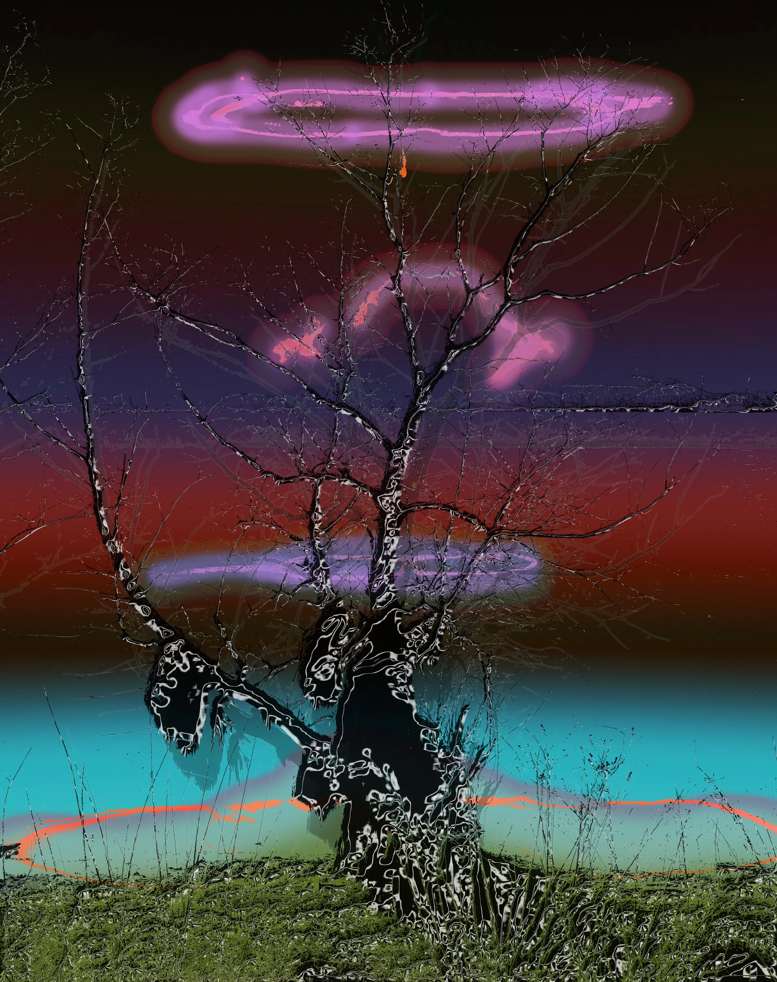 Tree.jpg