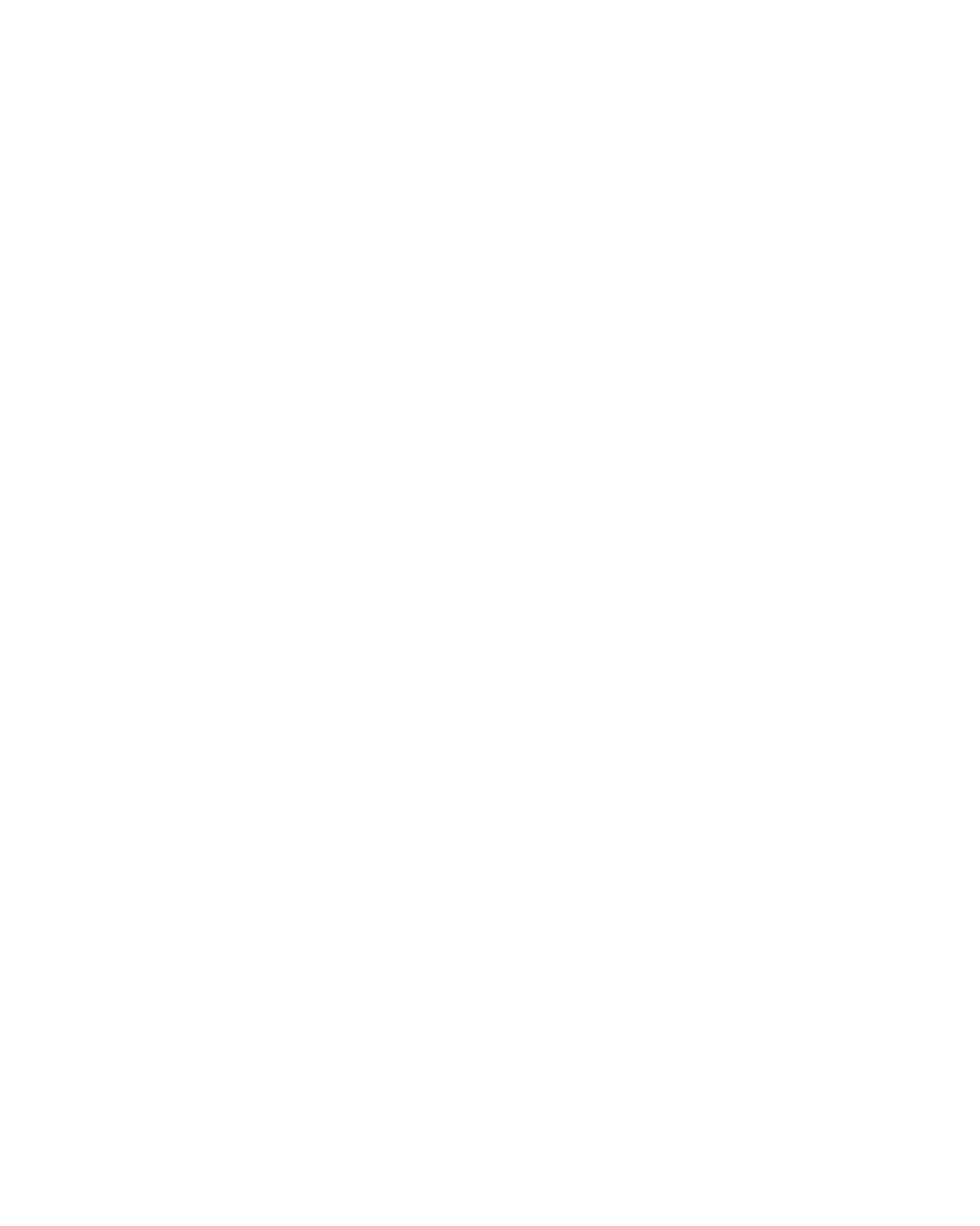 NG Bold Logo White.png