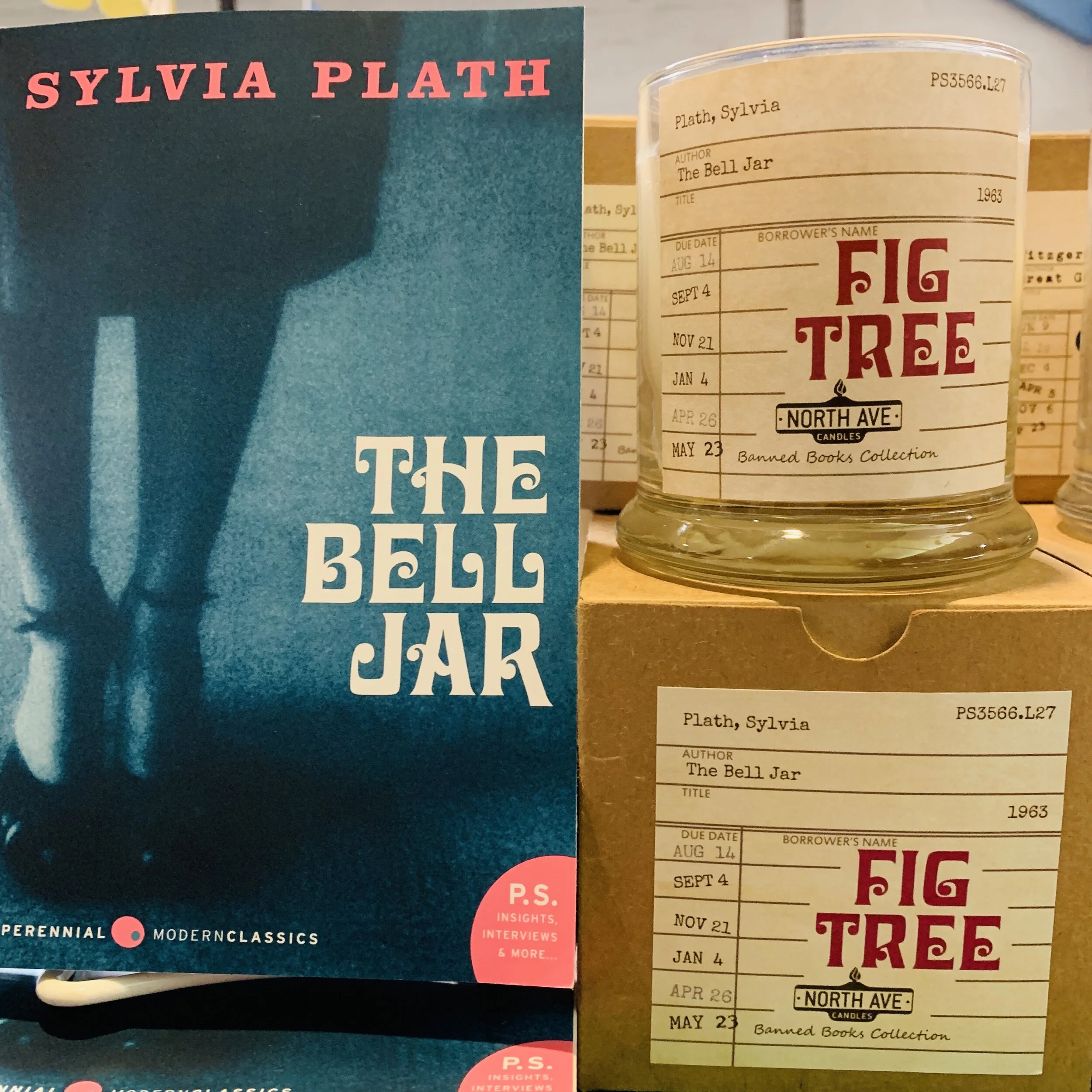 bell jar.JPG