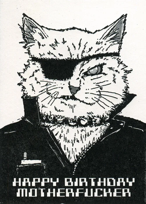 BBmofocat.jpg