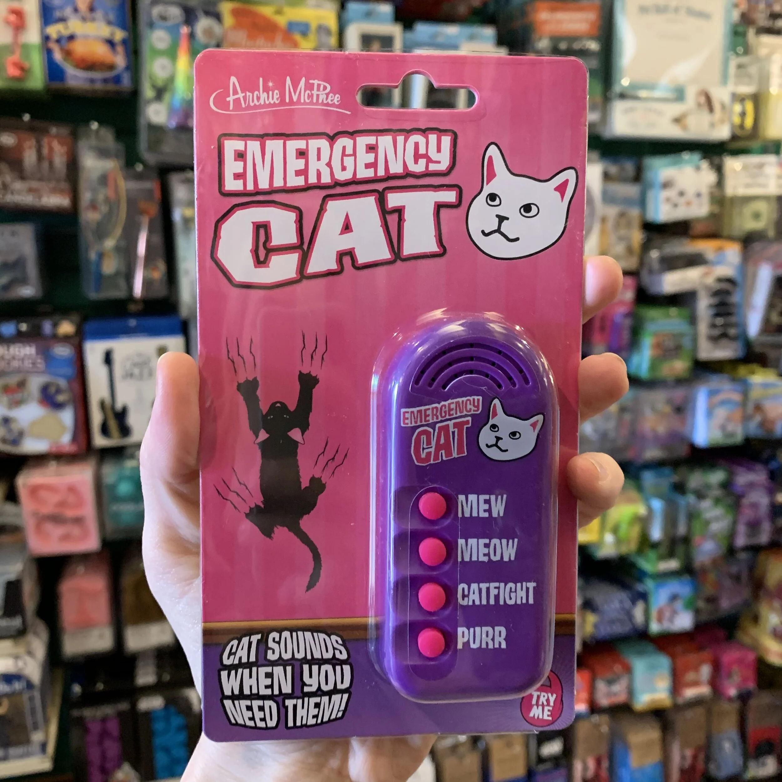 emrgencycat.jpg