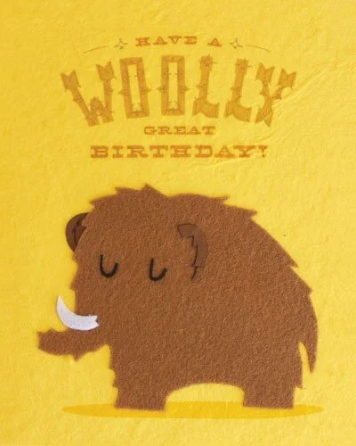 woollybday.jpg