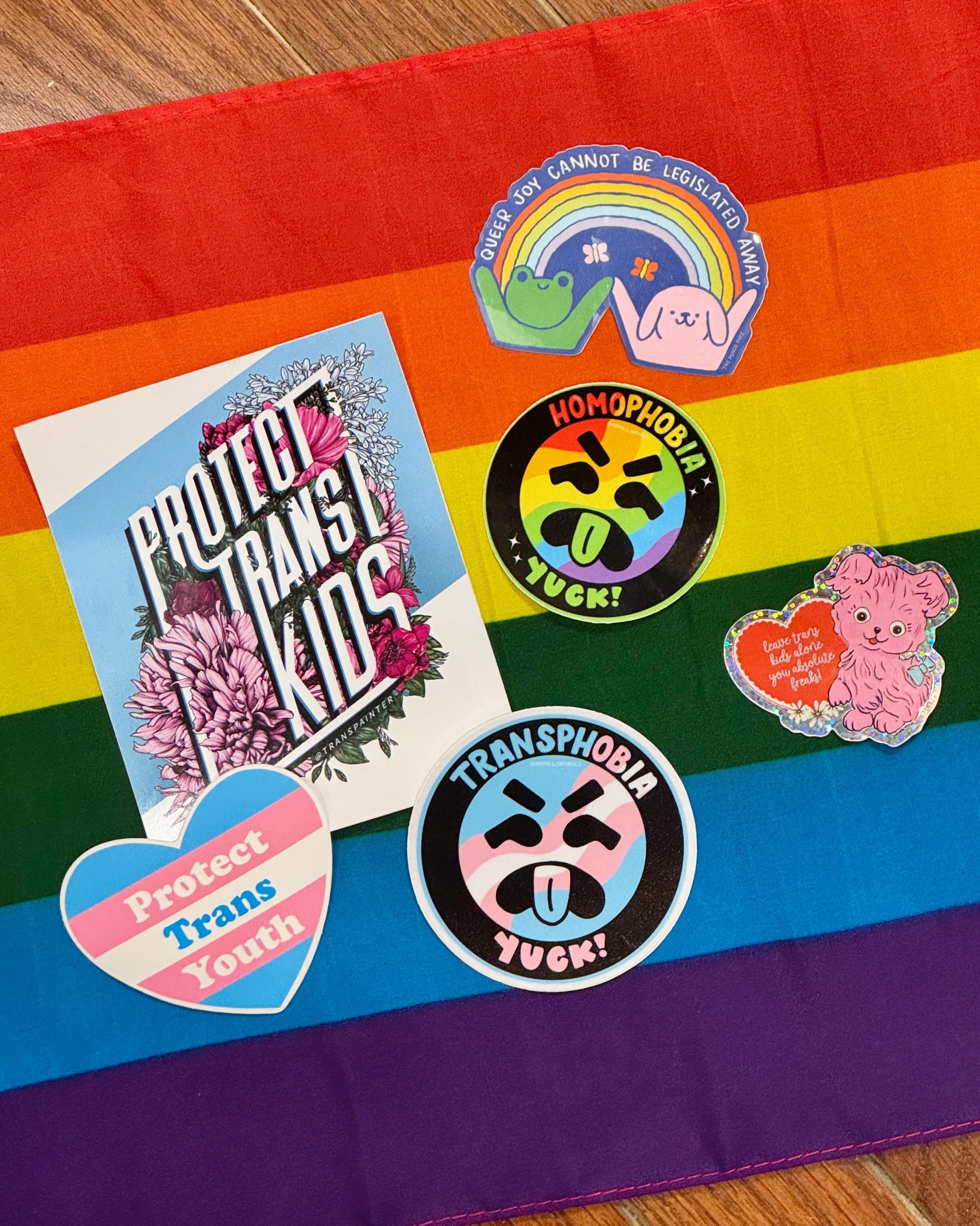 It&rsquo;s International Day Against Homophobia, Biphobia, and Transphobia! No matter how much they may try, they can&rsquo;t disappear the queers 💖 We&rsquo;ll continue to fight for queer joy every day 🏳️&zwj;🌈🩷🏳️&zwj;⚧️ #internationaldayagains