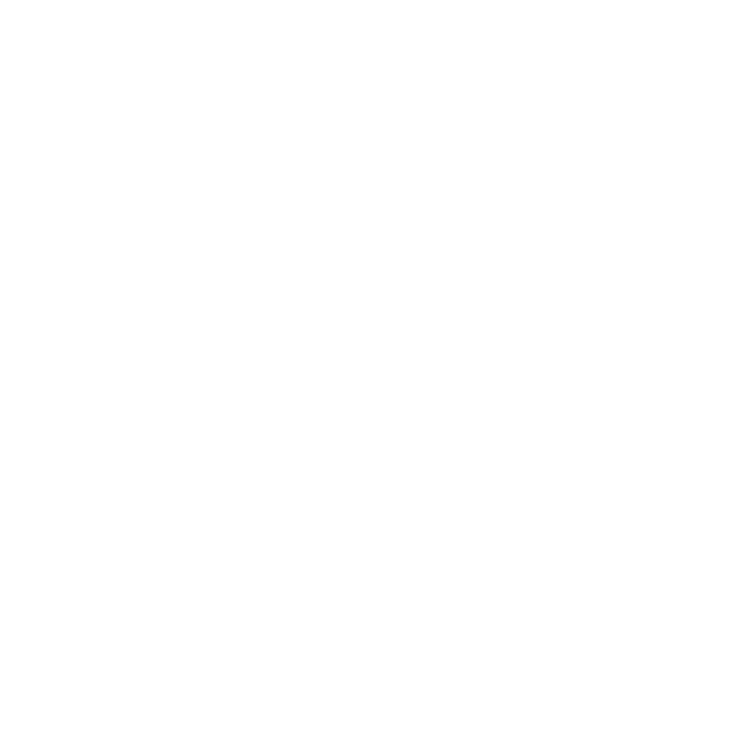 Shine Bootcamp