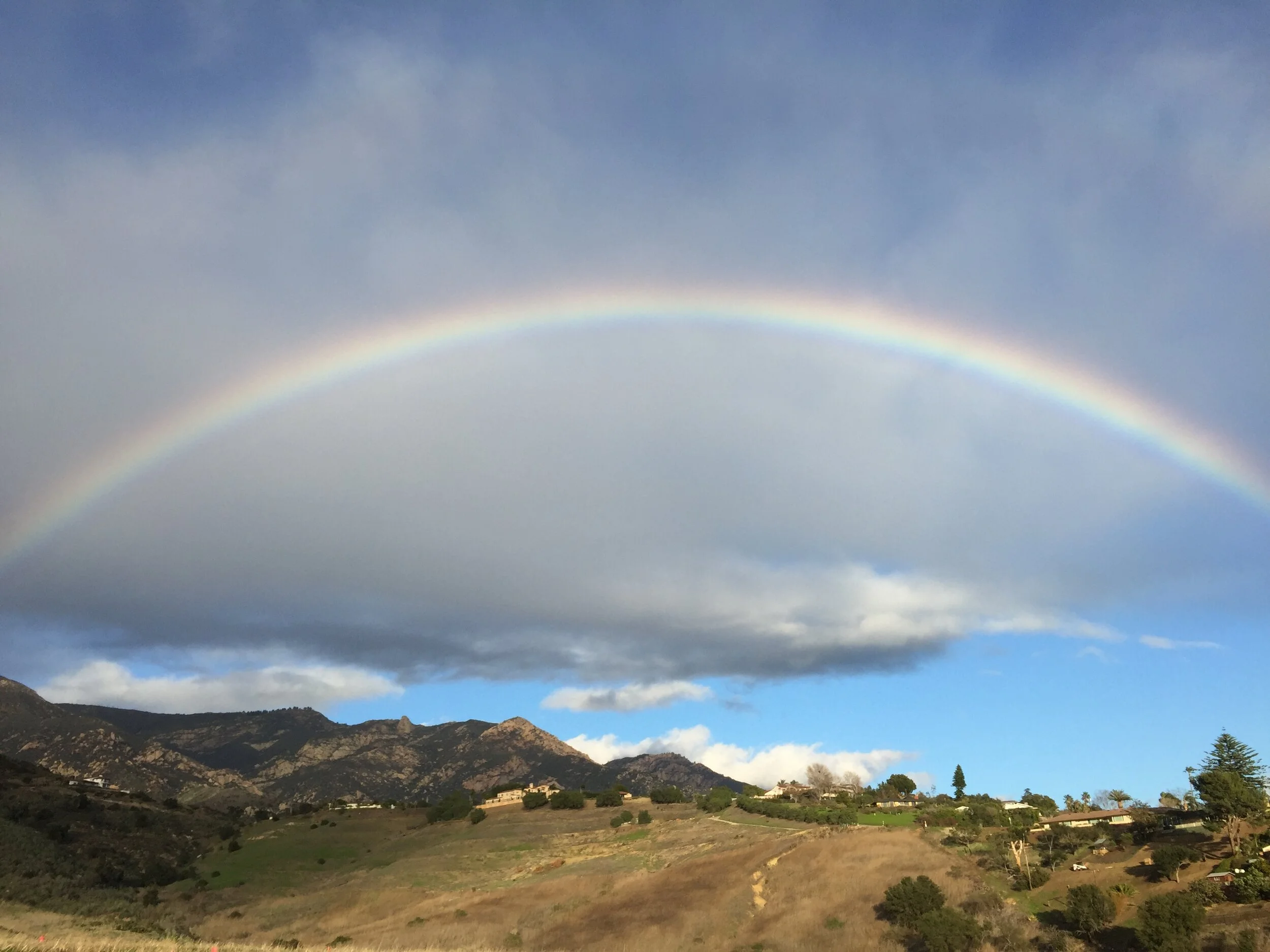 Awake in the Wild: Opening to the Wisdom and Wonder of Nature Retreat with Mark Coleman 