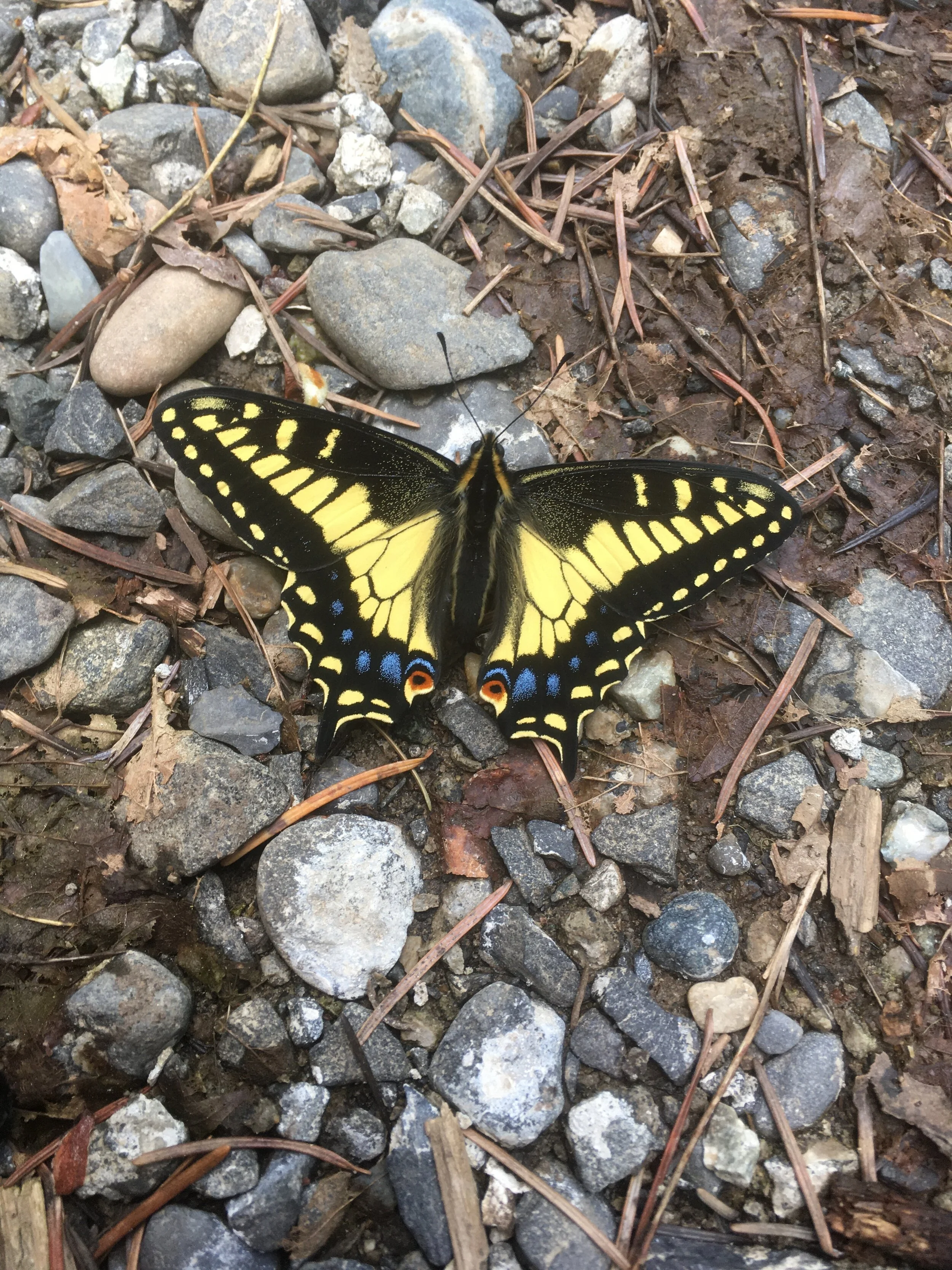 Earth in Mind: A Wilderness Retreat Uniting Contemplative and Nature Based Practice