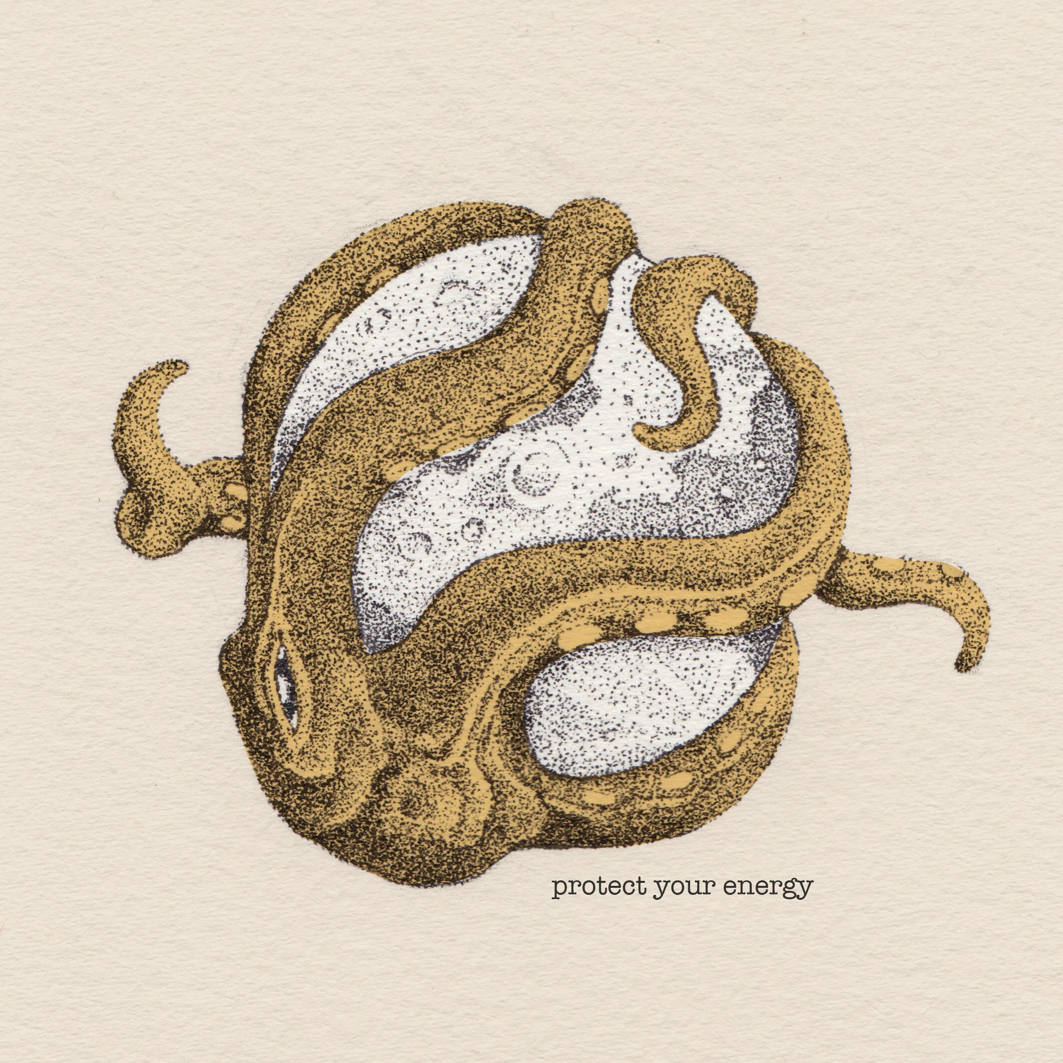 ocotpus_colored.jpg