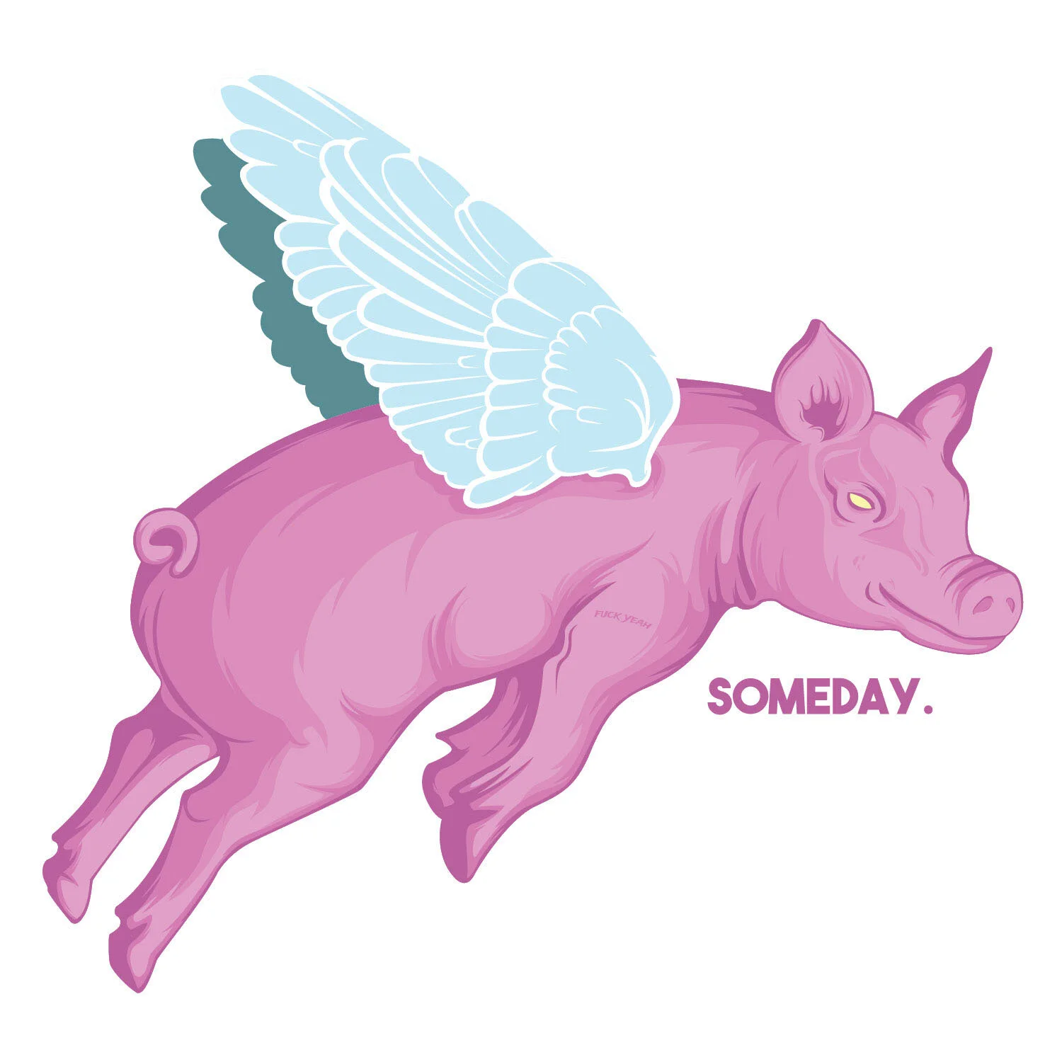 flying pig.jpg