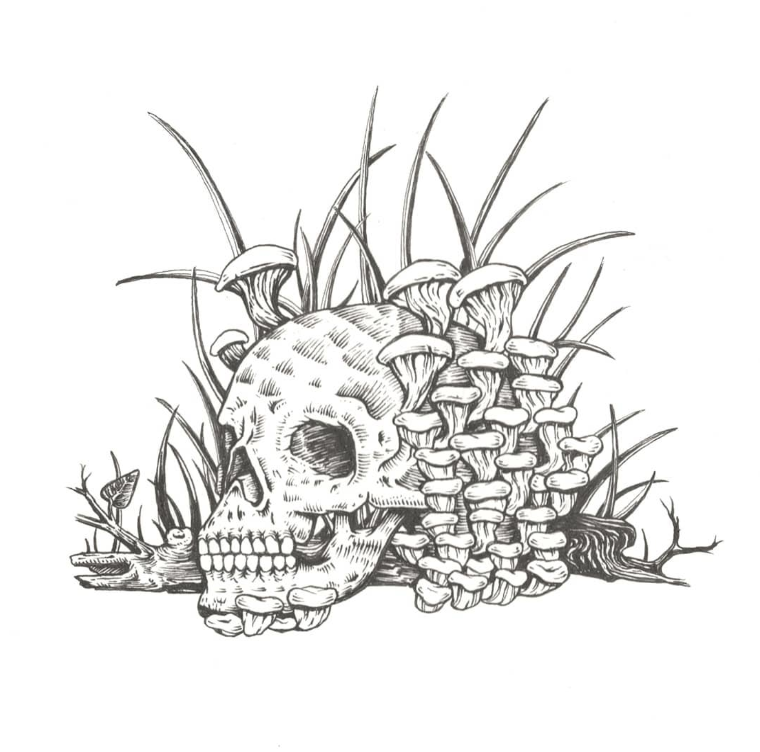 Screen Shot 2020-10-21 at 11.56.04 AM.png