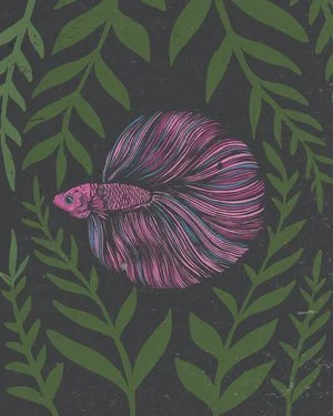 betafish_8x10.jpg