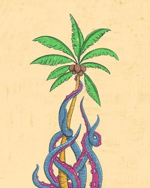 octupus_palmtree_8x10-1.jpg