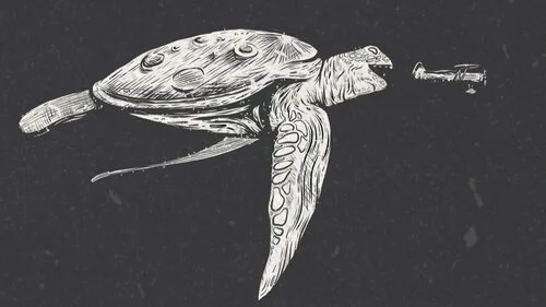 turtle_plane_8x10.jpg