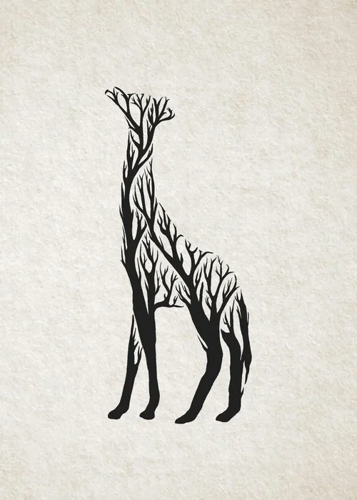 giraffe_tree_5x7.jpg