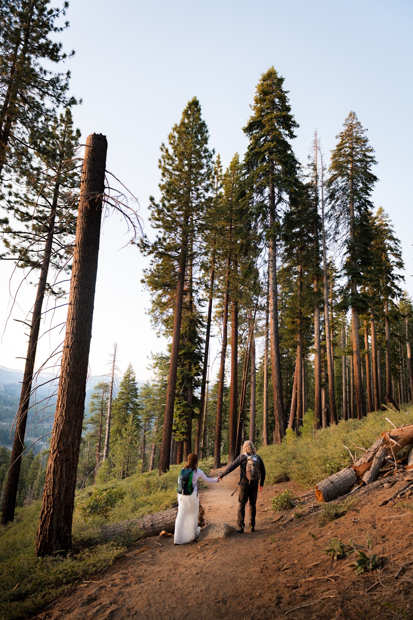 yosemite-elopement-9.jpg