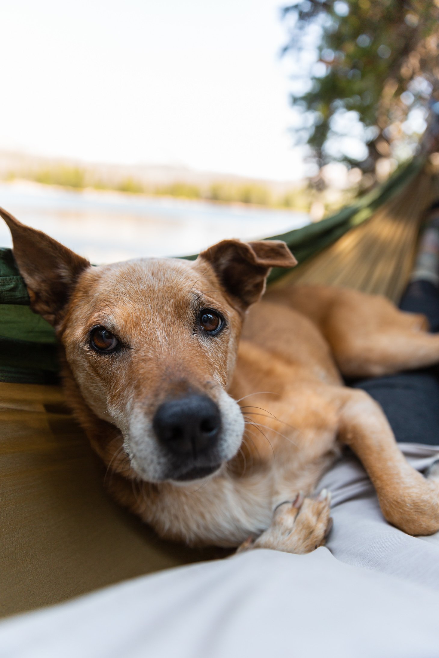 uintas-camping-25.jpg