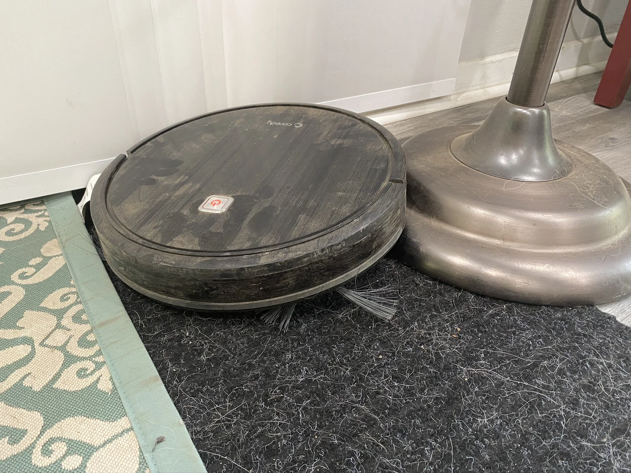 Rob and the fan.jpeg