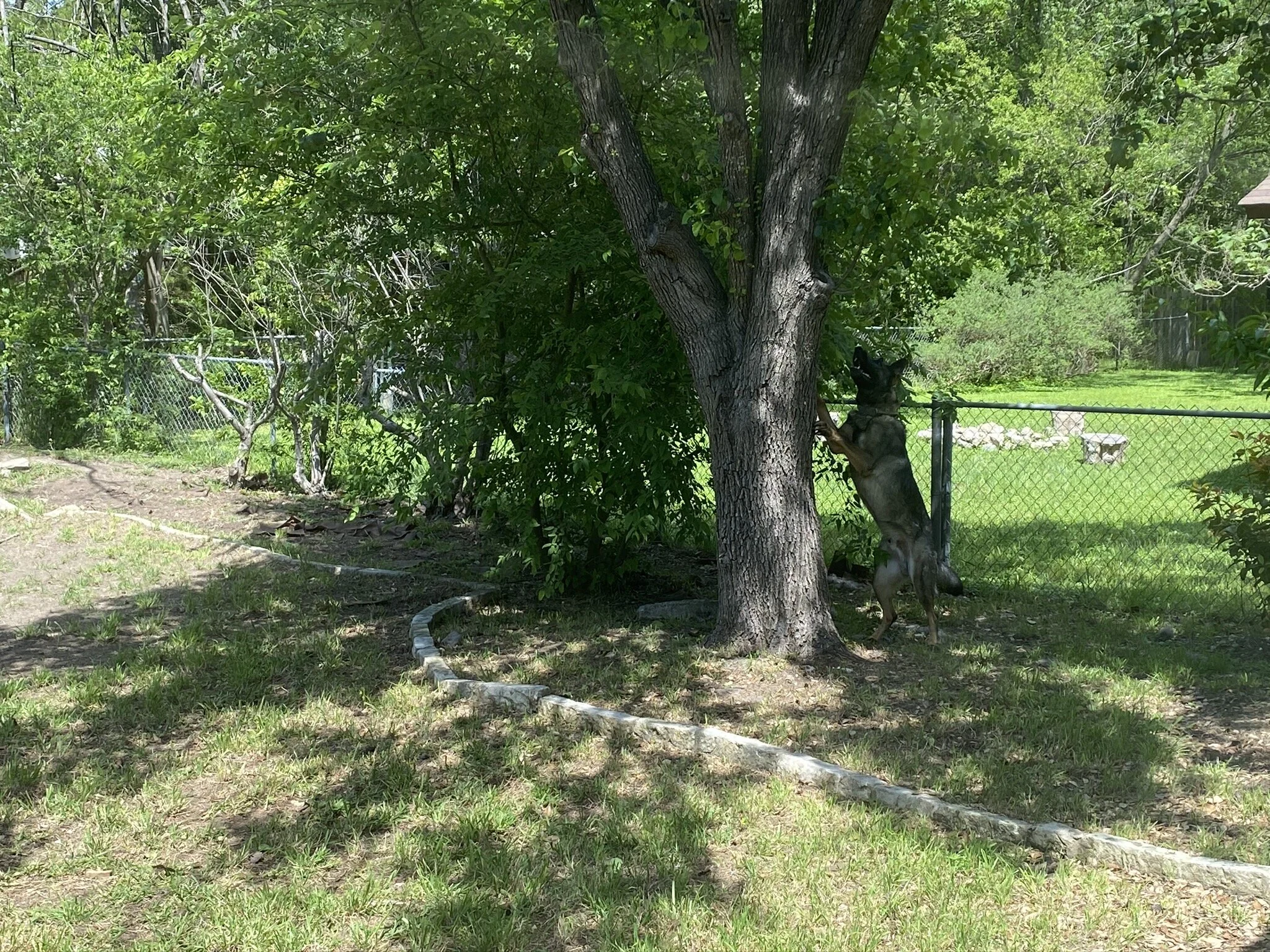 Squirrel Hunter 03.jpeg