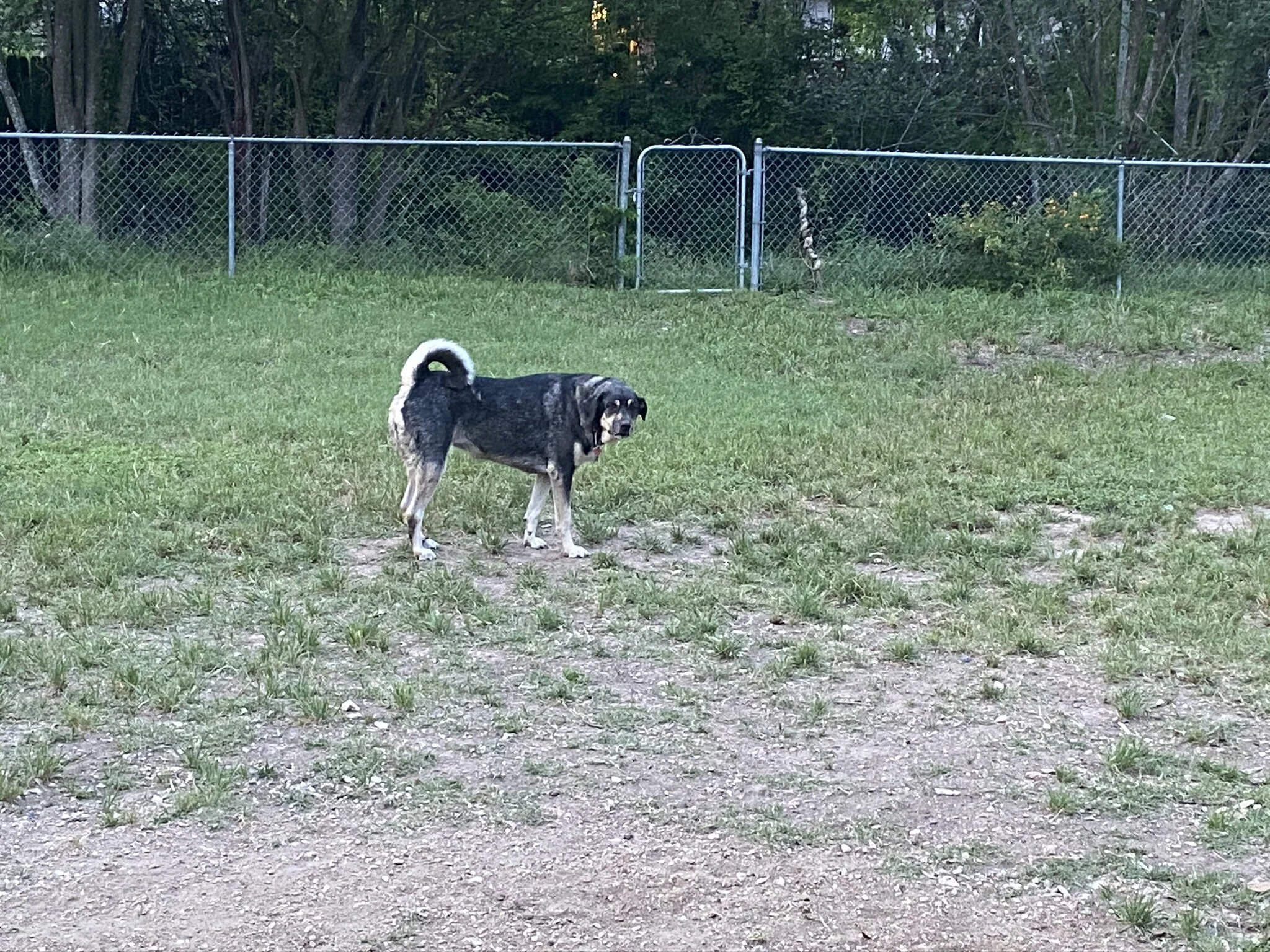 Eva de le Mancha.jpeg