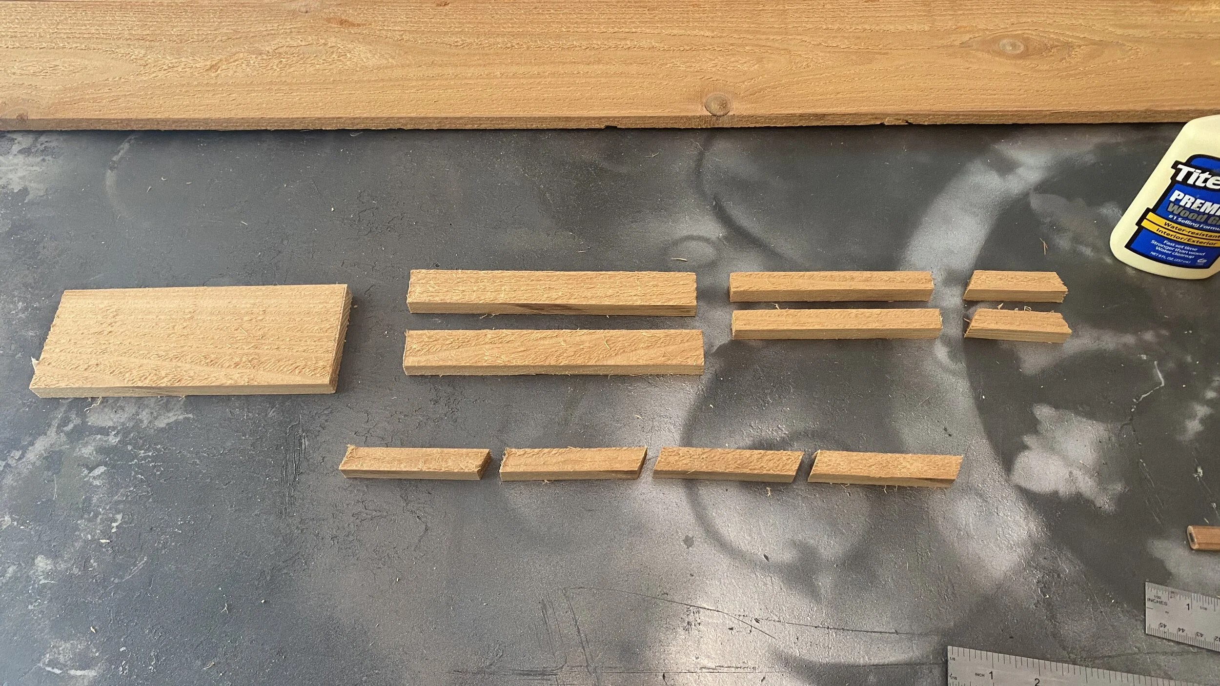 Squirrel Picnic Table 02.jpeg