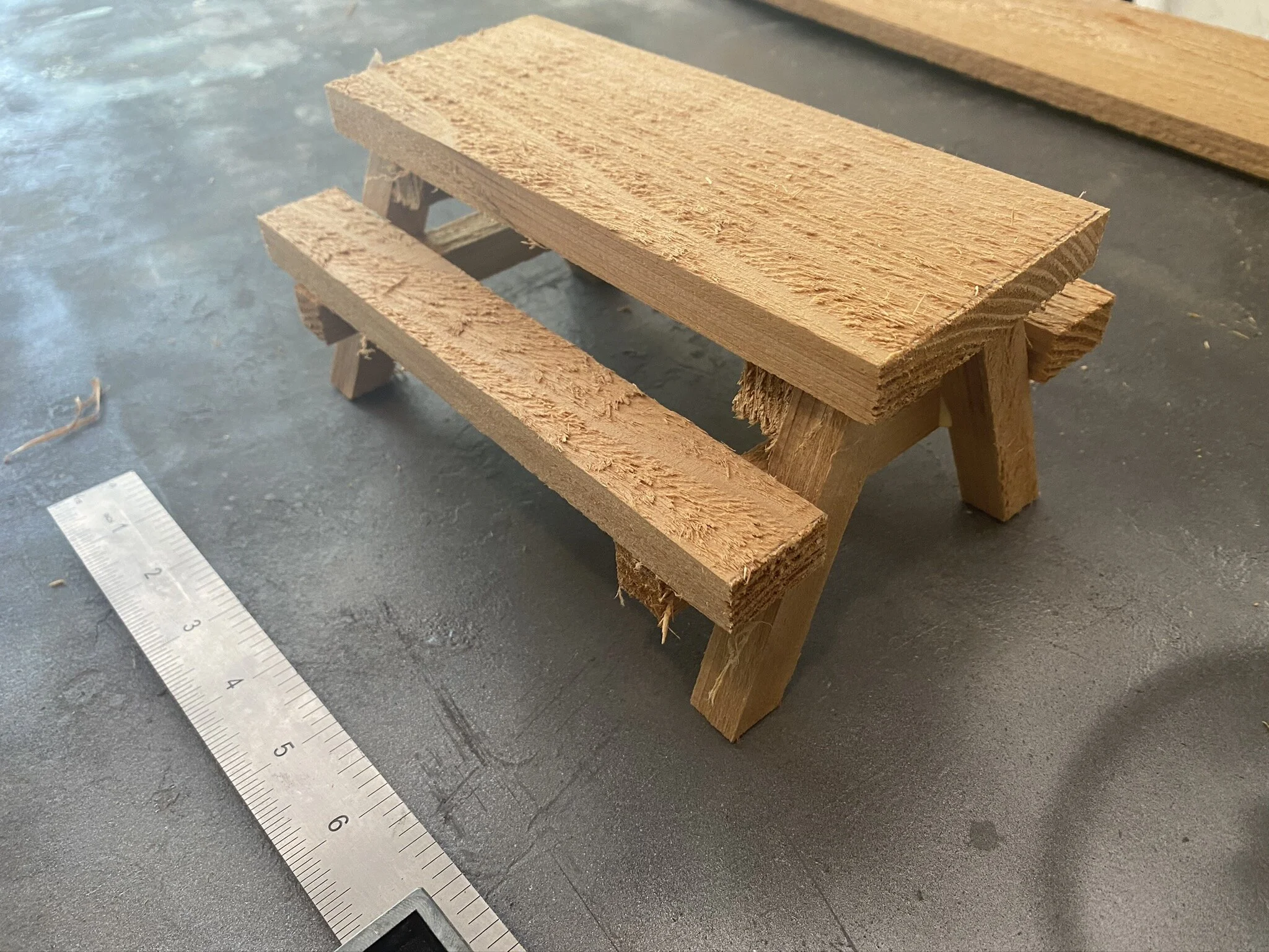 Squirrel Picnic Table 03.jpeg