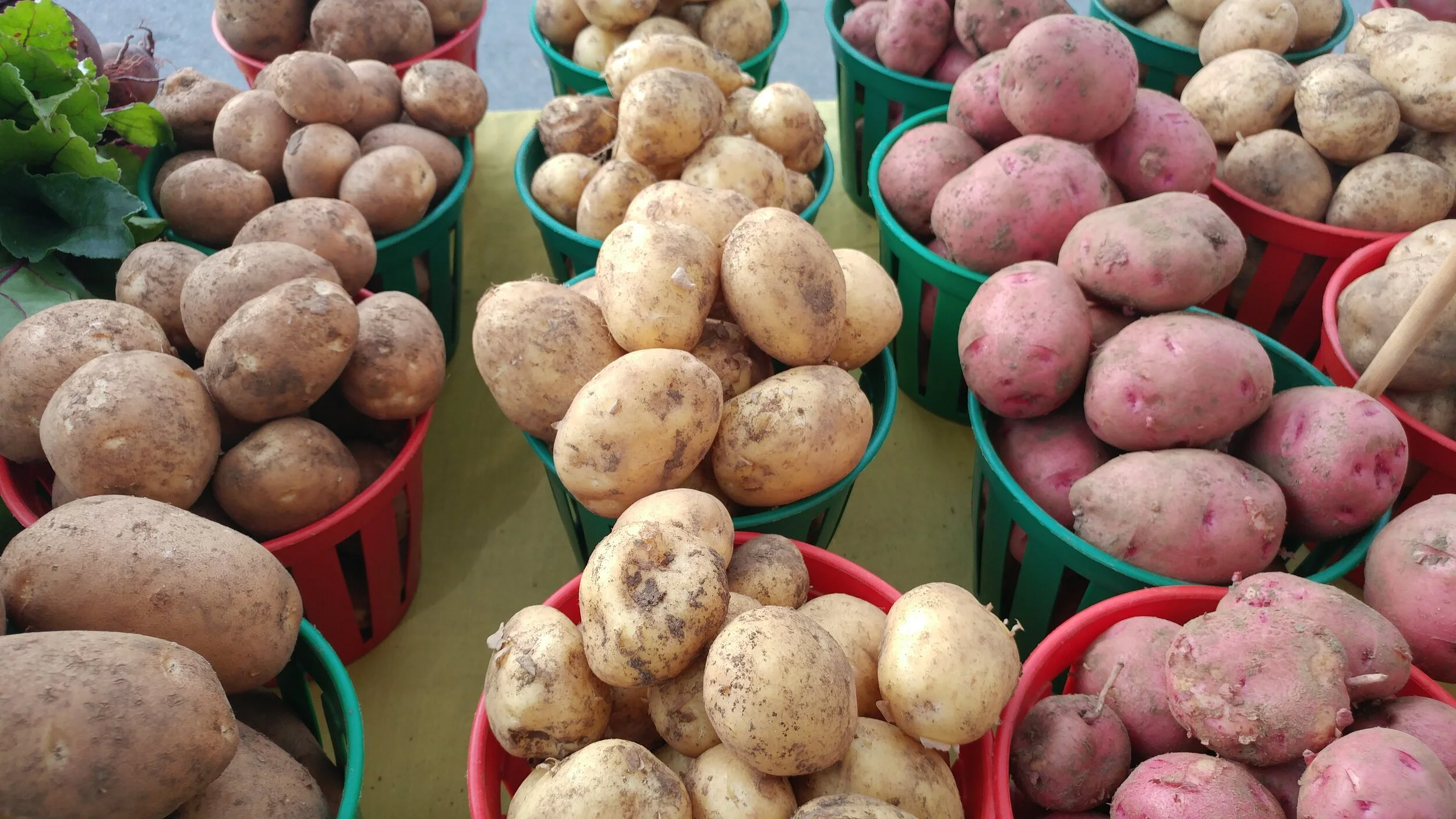 teresa 2017 2554.jpeg