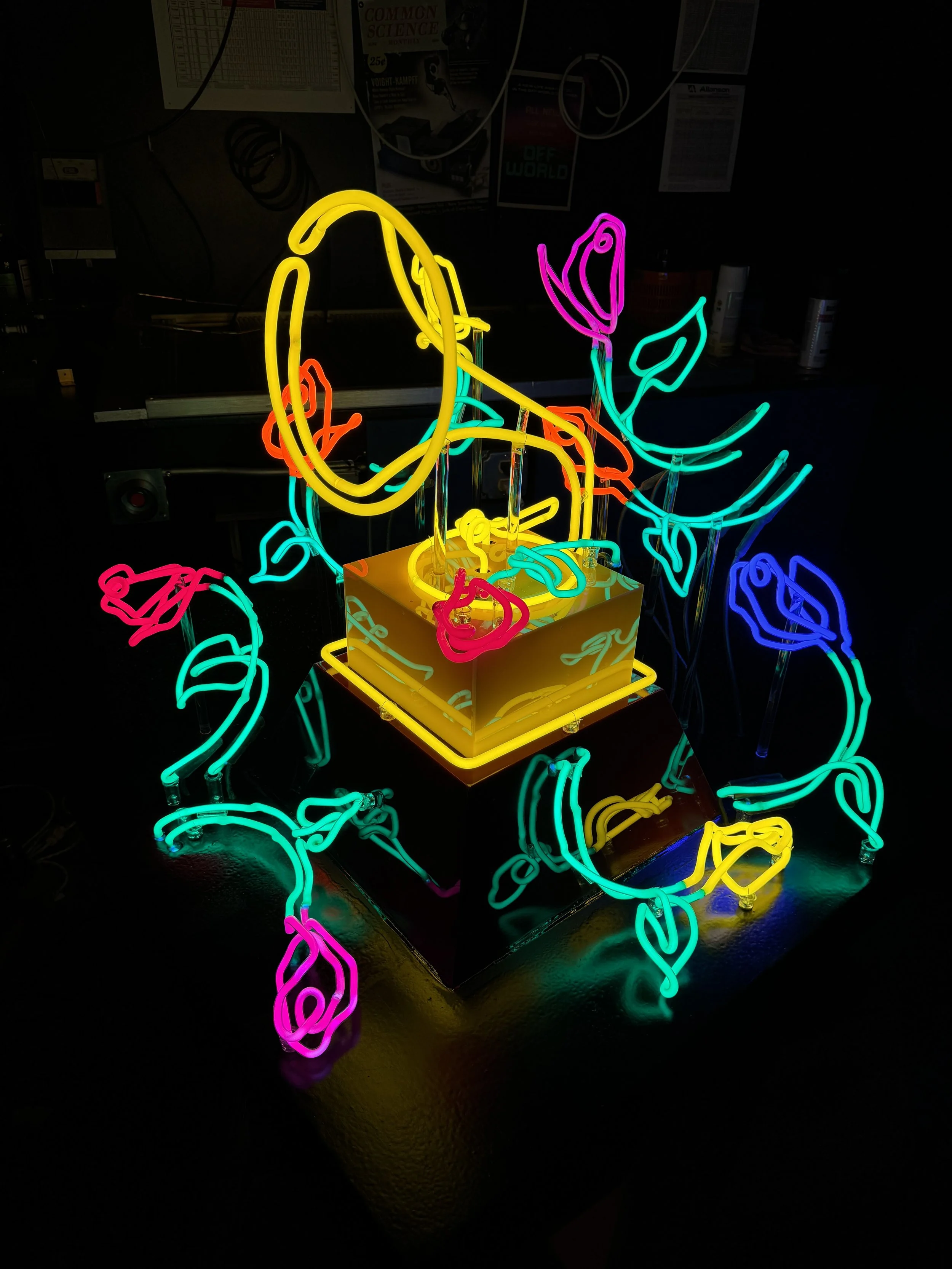 Latin Grammy Awards 2025 view 3