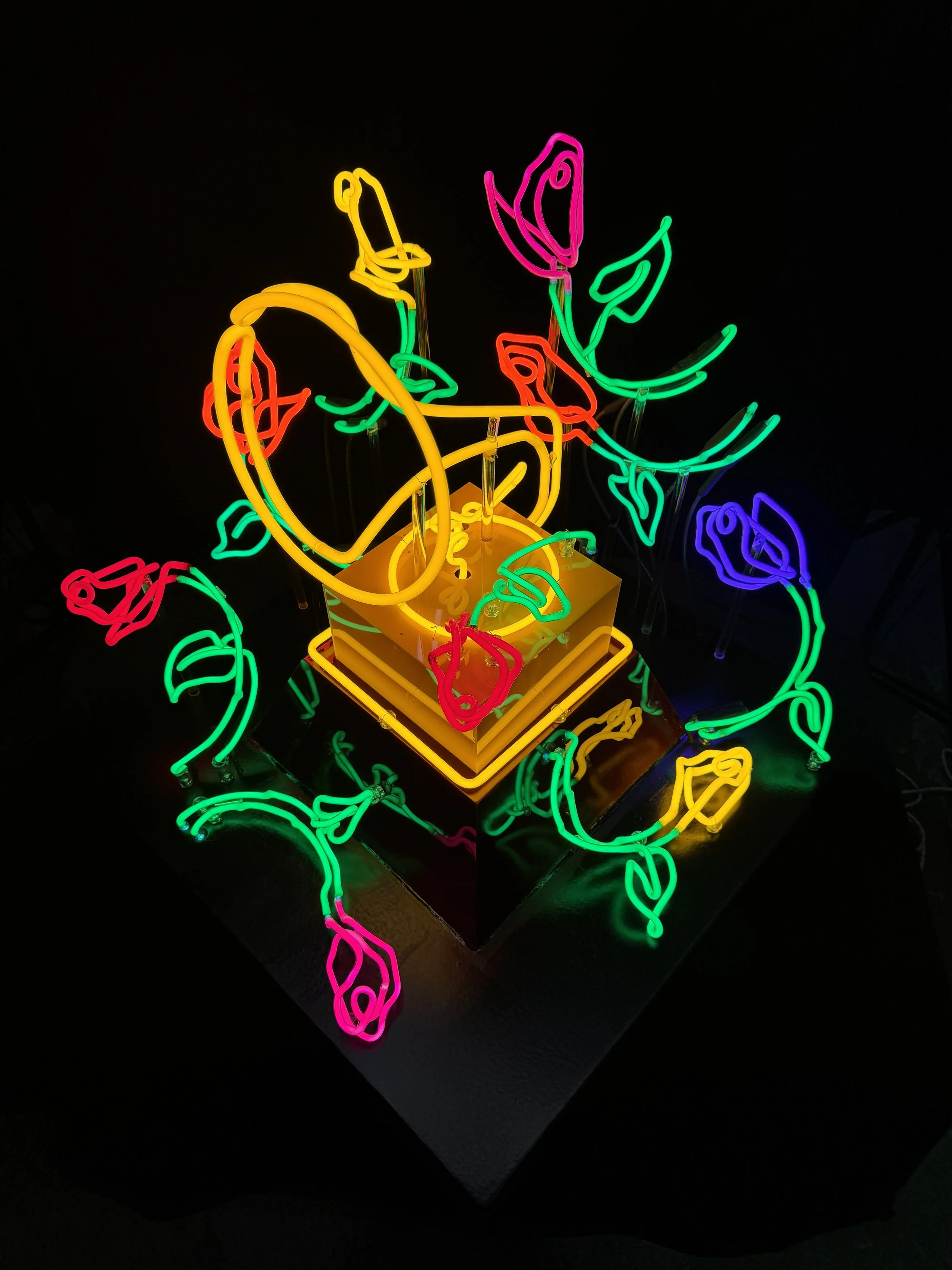 Latin Grammy Awards 2025 view 4