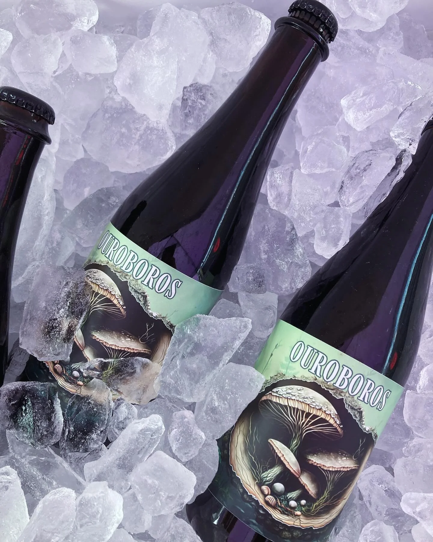 Ouroboros is back in stock! Batch 3 bottles are available this weekend for our 2 Year Anniversary Celebration! 

Oysters &amp; celebrations always seem to make a perfecting pairing. Even better when they&rsquo;re paired with our Black Saison with Oys