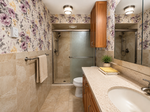 bathoom 460.jpeg
