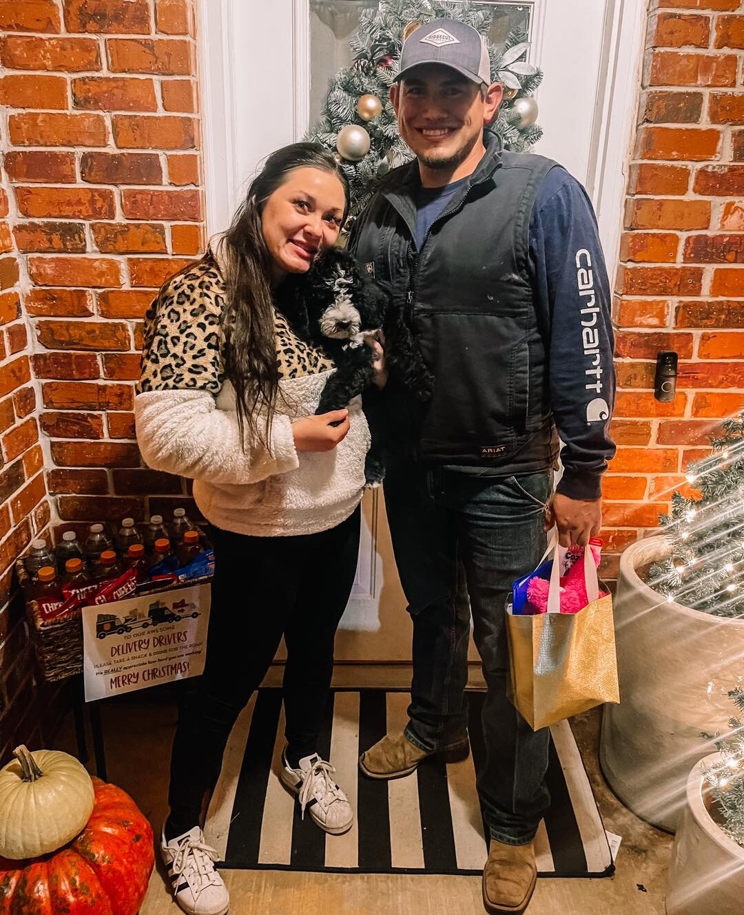 Happy Gotcha Day Darling ❤️
https://www.goldenpawsfurbabies.com/availablepuppies