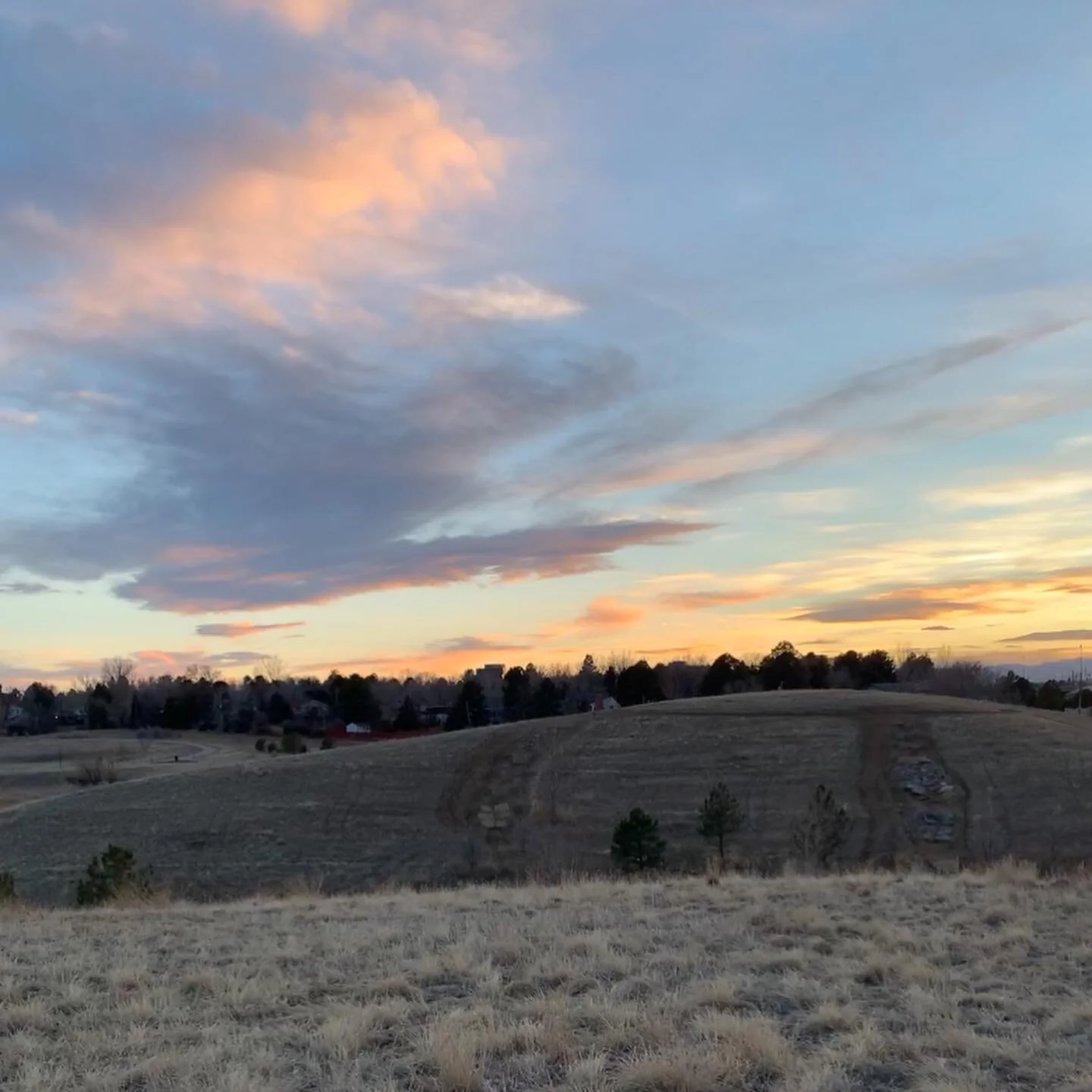 a collection of photos that feel like a glimpse of the light at the end of the tunnel 🥲
vaccinations at target? @sophia.dotson in high school theatre? matching dresses? the weather?