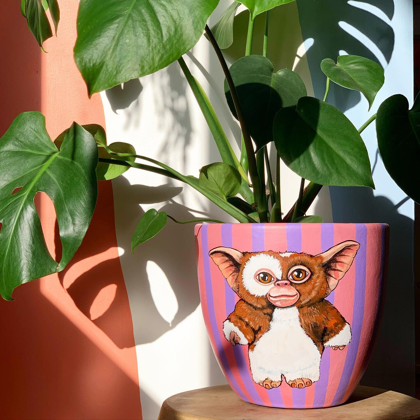 Two sided Mogwai v Gremlin pot .. which side would you pick!? 🌚 

I painted a corner of the lounge room recently (it&rsquo;s normally home of my kids&rsquo; mini trampoline) with a a basic pastel mural, thinking it would come in handy as a bit for a
